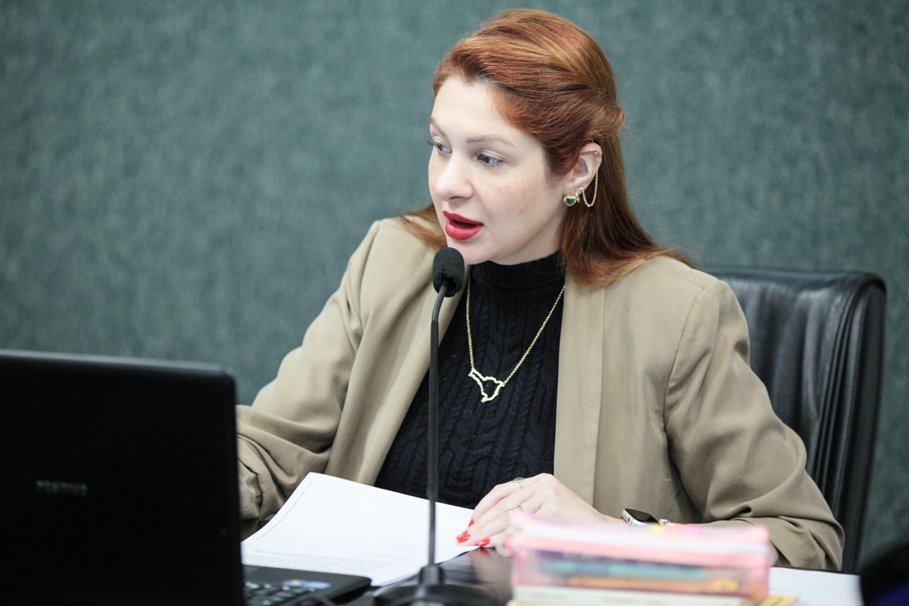 Deputada participará das eleições primárias argentinas como observadora