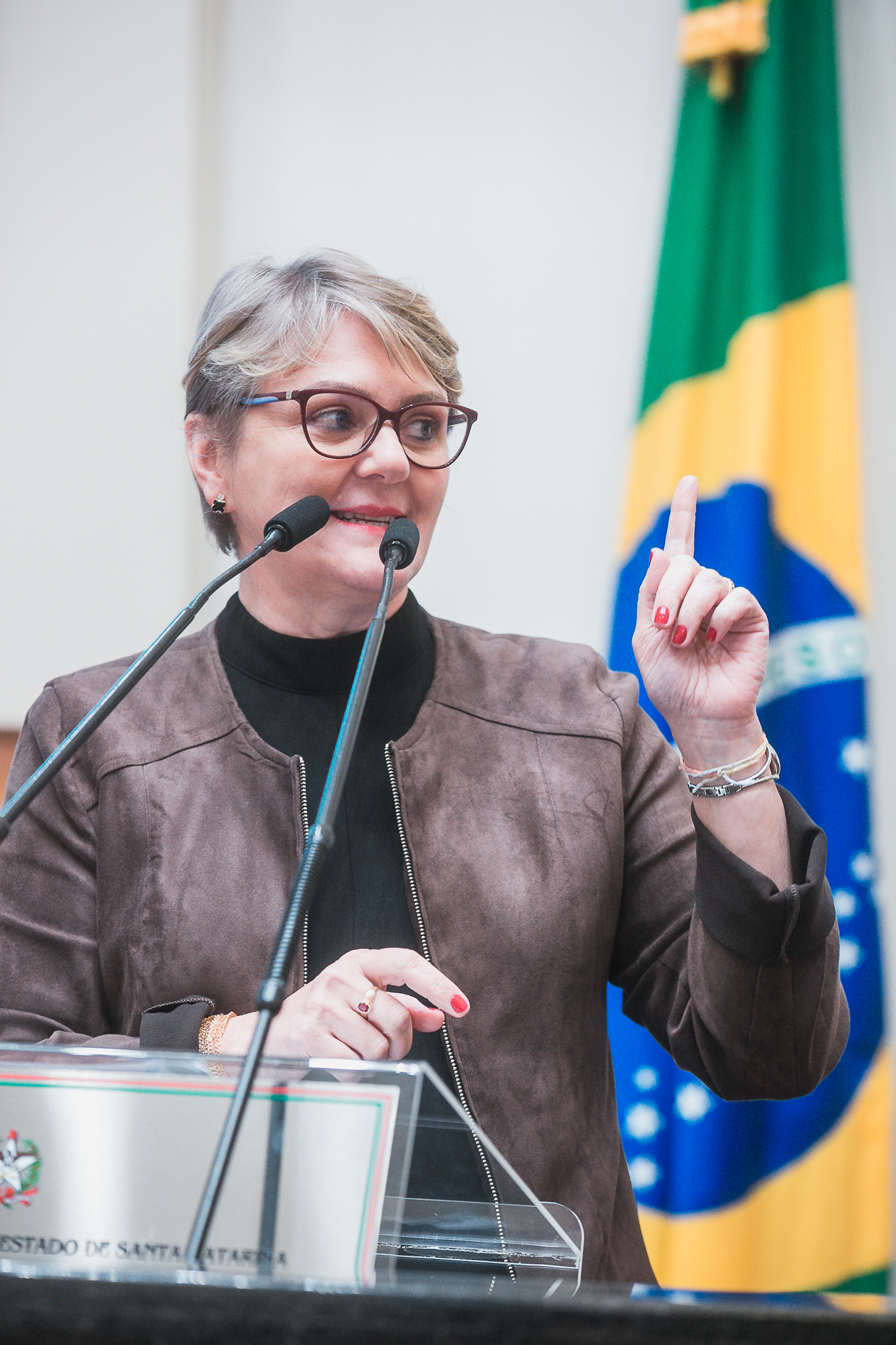 SESSÃO ORDINÁRIA- Deputada Luciane Carminatti (PT)