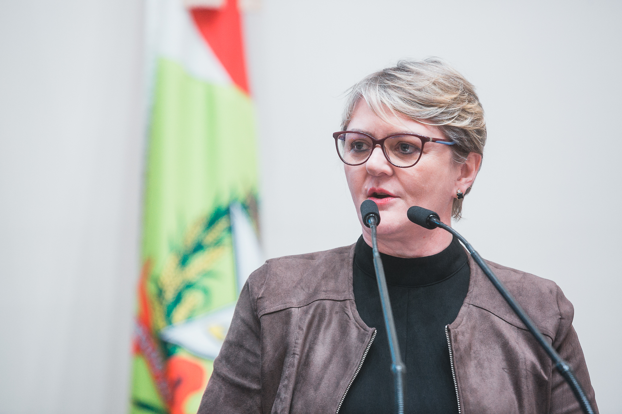 SESSÃO ORDINÁRIA  - Deputada Luciane Carminatti (PT)