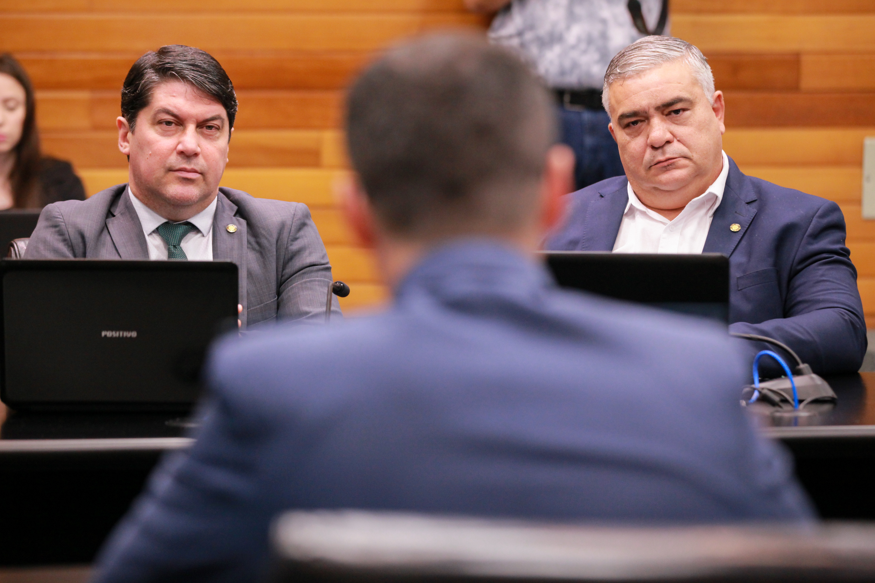 Comissão de Segurança Pública