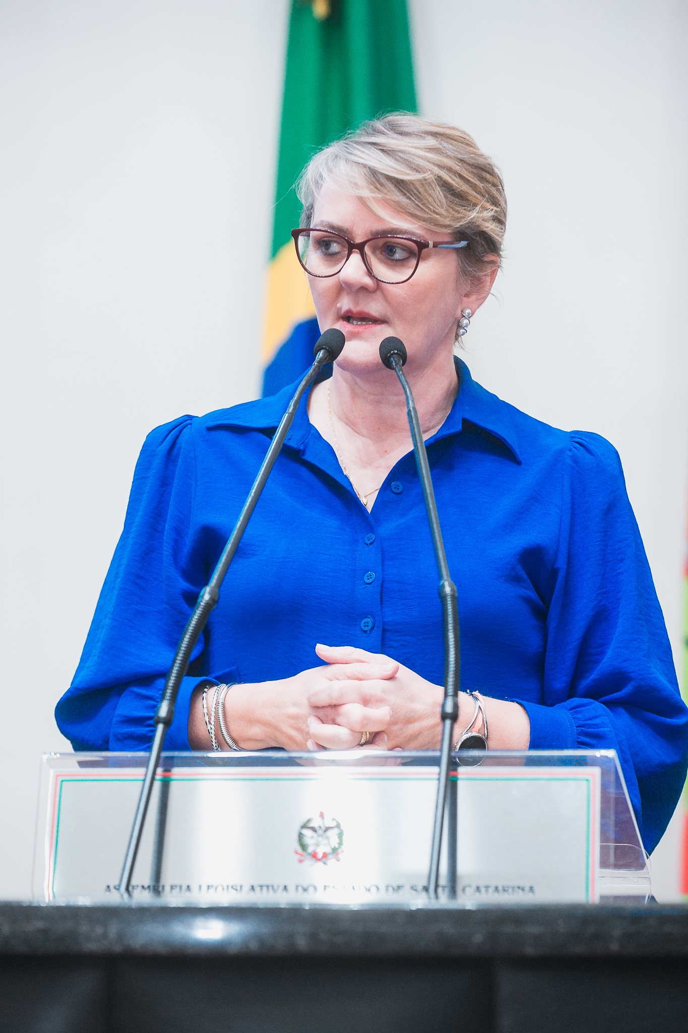 SESSÃO ORDINÁRIA - Parte 1 - Deputada Luciane Carminatti (PT)