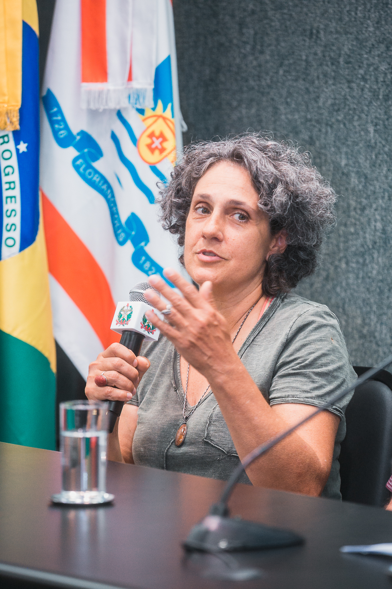 Audiência Pública para discutir a situação da Lagoa do Peri