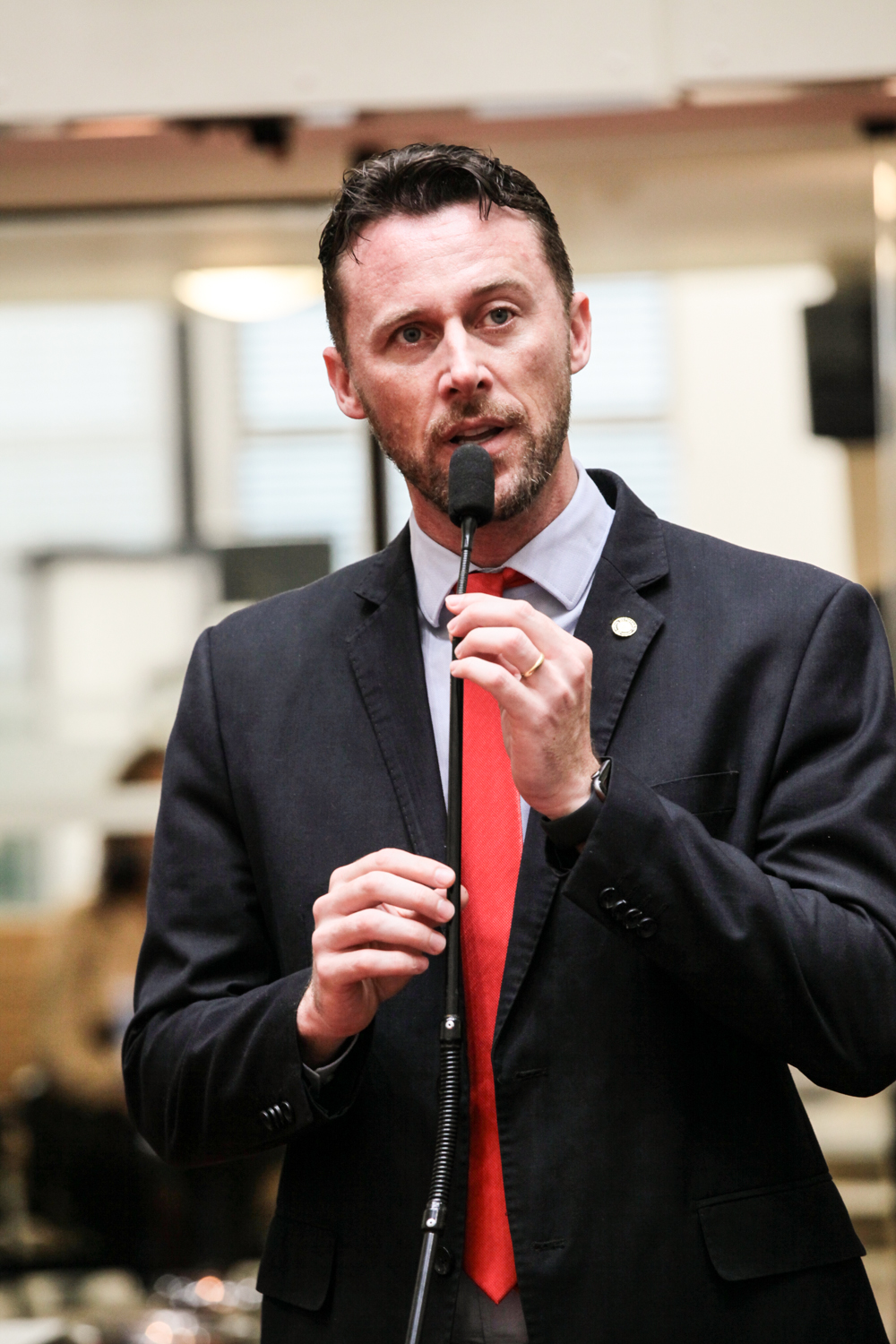 Sessão Ordinária - Deputado Fernando Krelling (MDB)