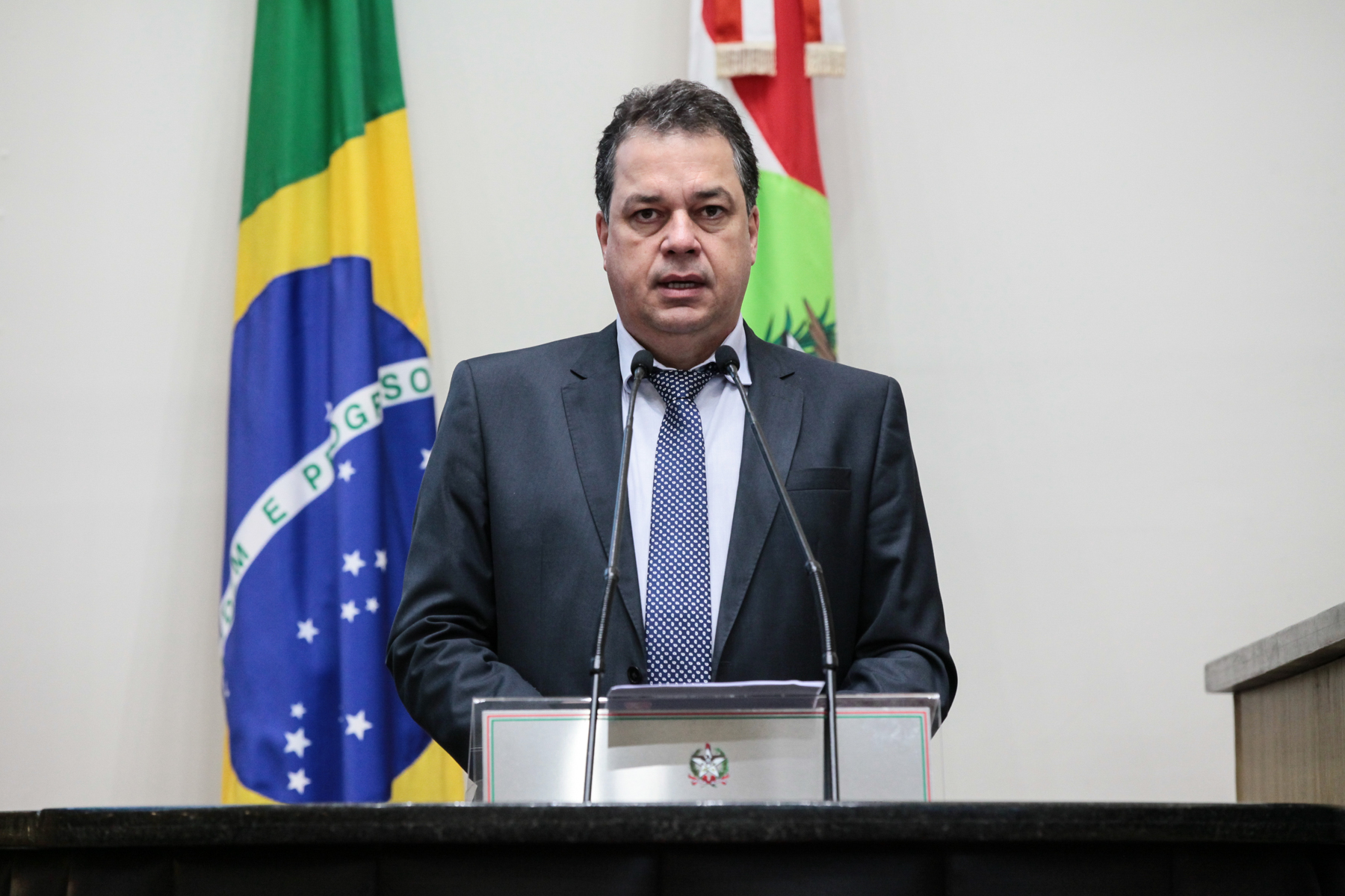 Sessão Ordinária - Deputado Rodrigo Minotto (PDT)