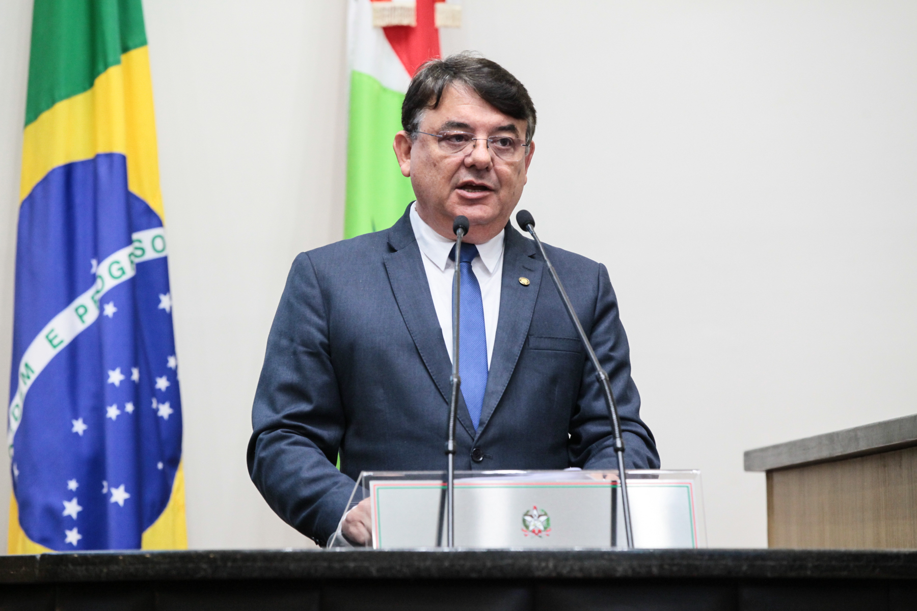 Sessão Ordinária - Deputado Mauricio Peixer (PL)