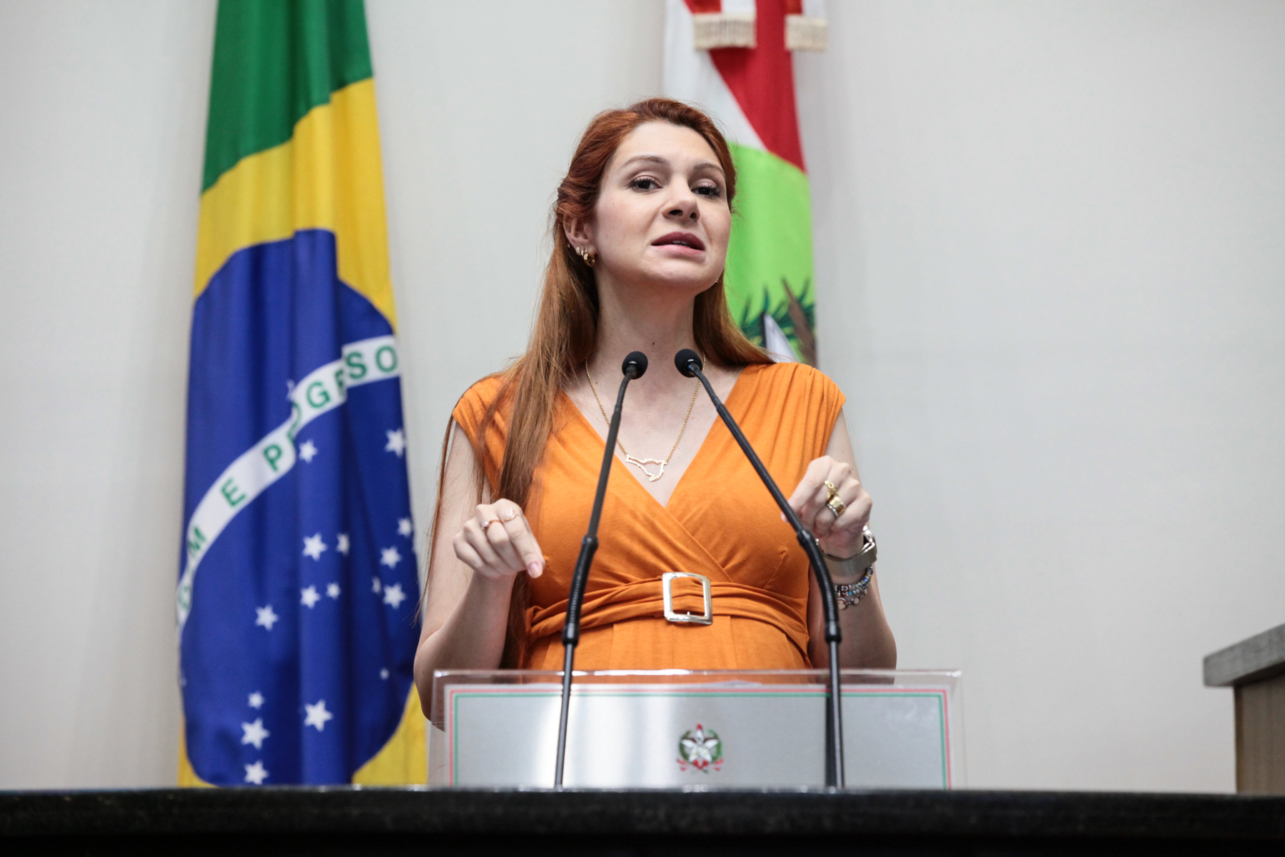 Sessão Ordinária