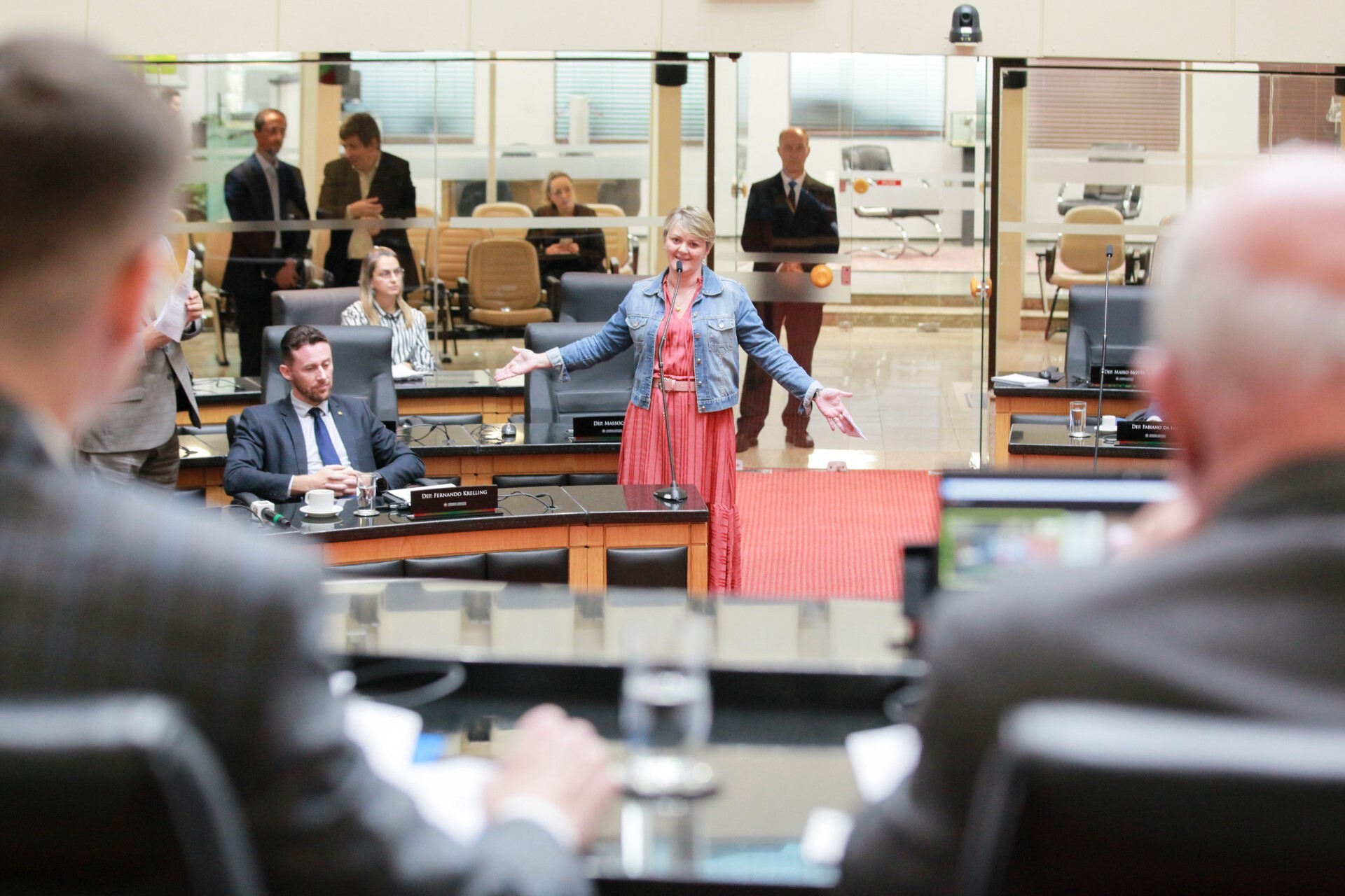 Deputada Luciane Carminatti