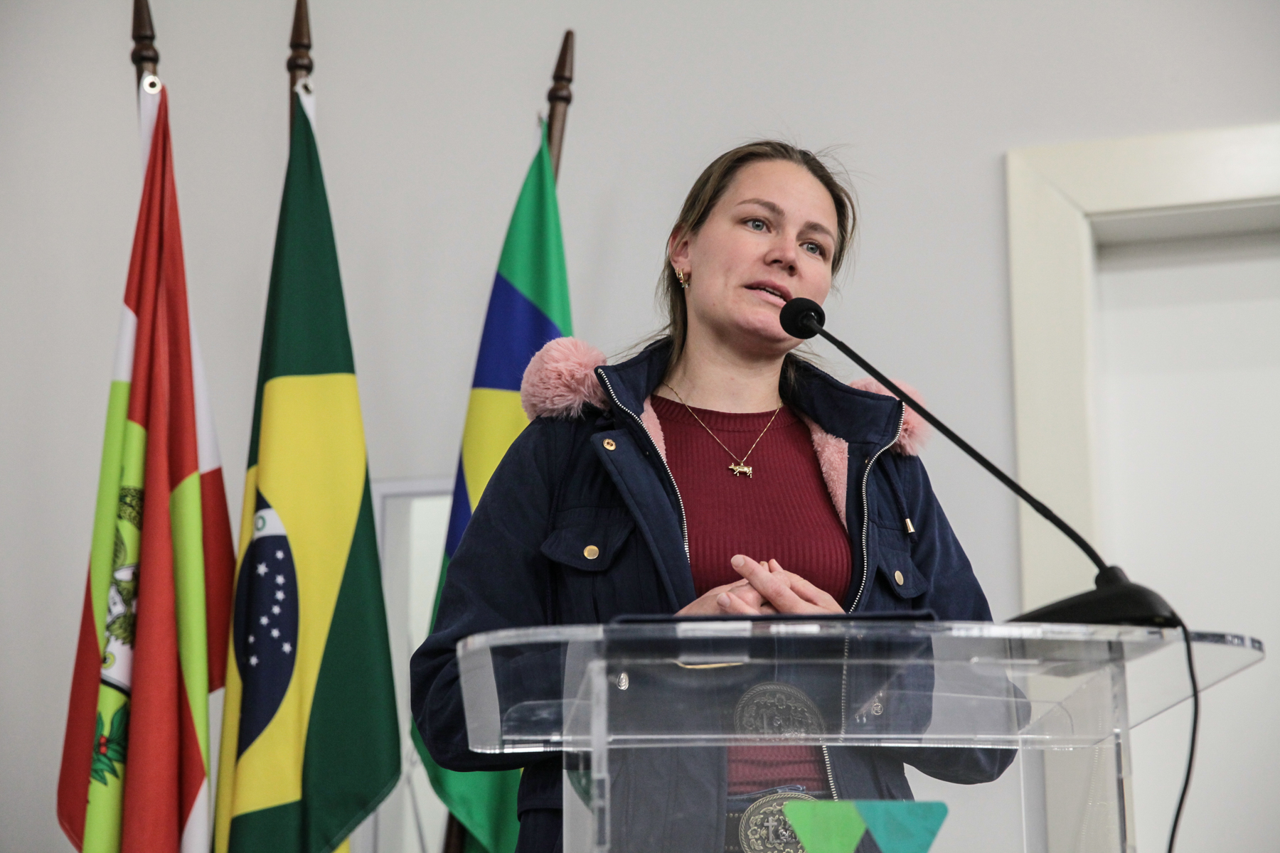 Audiência Pública - Situação dos Produtores de Leite
