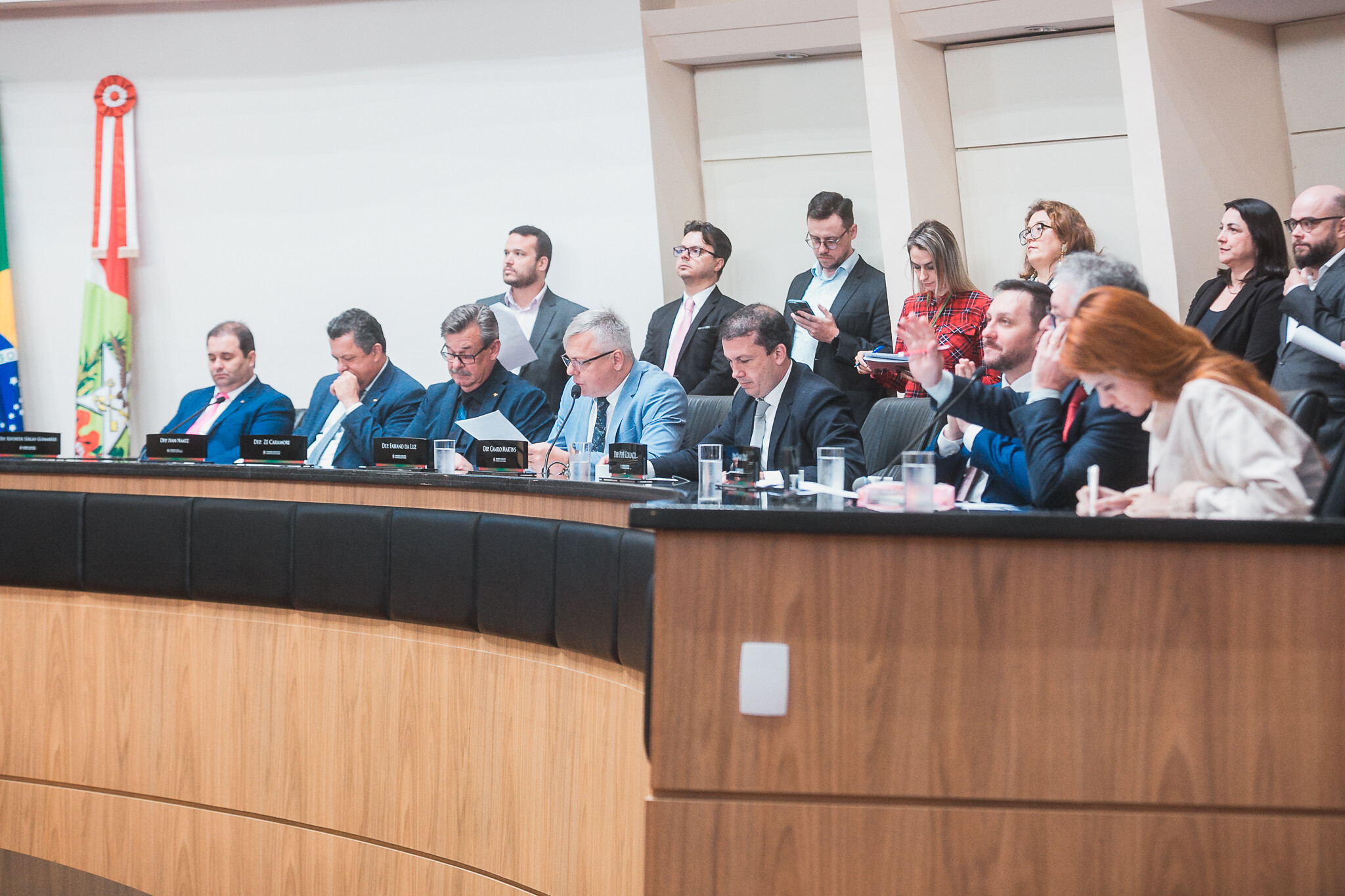 CCJ aprova projetos sobre meliponicultura e pesca de garoupa em SC