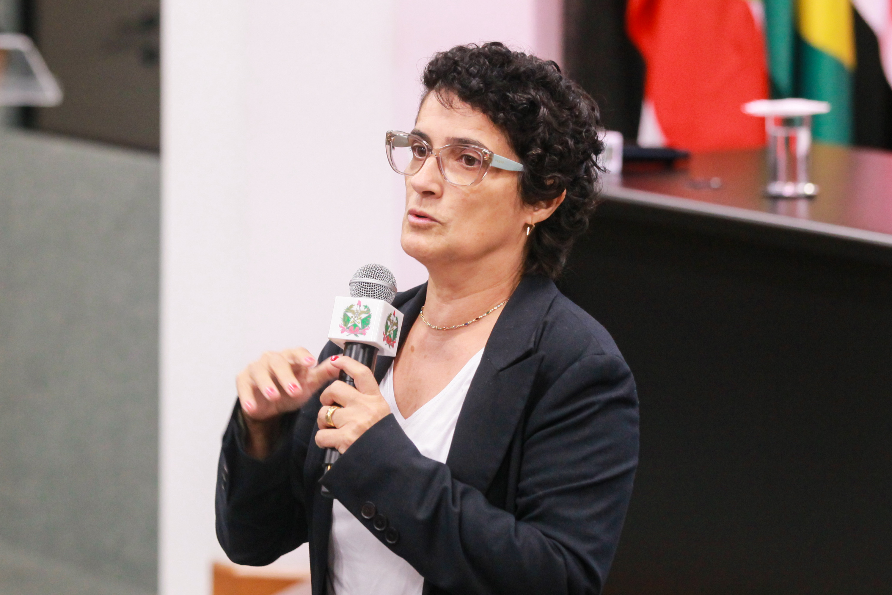 Estágio-visita - Palestra com a diretora da Escola da Alesc, Marlene Fengler