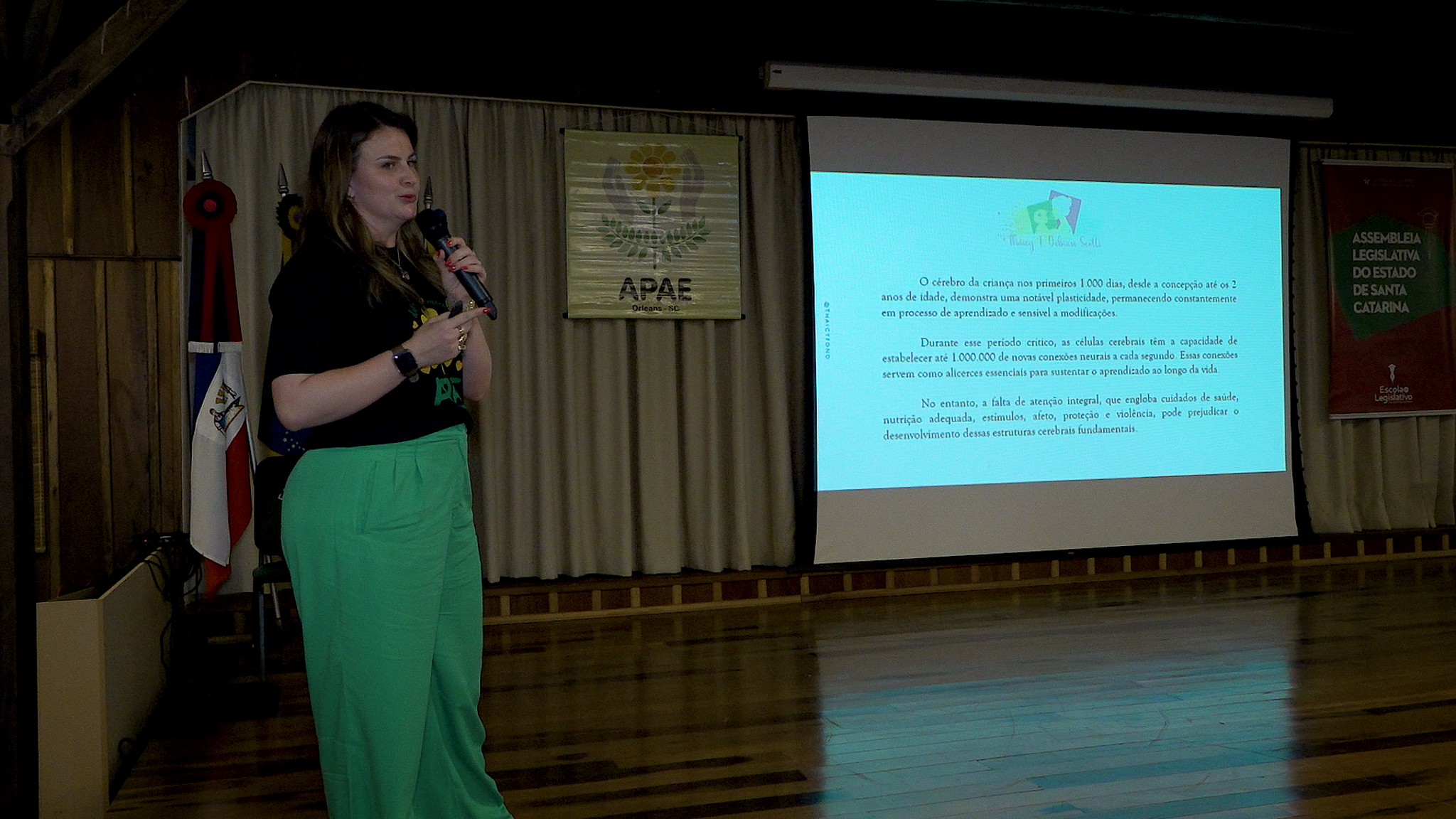 Seminário de Práticas Inclusivas em Educação Especial no Transtorno do Espectro Autista - Orleans