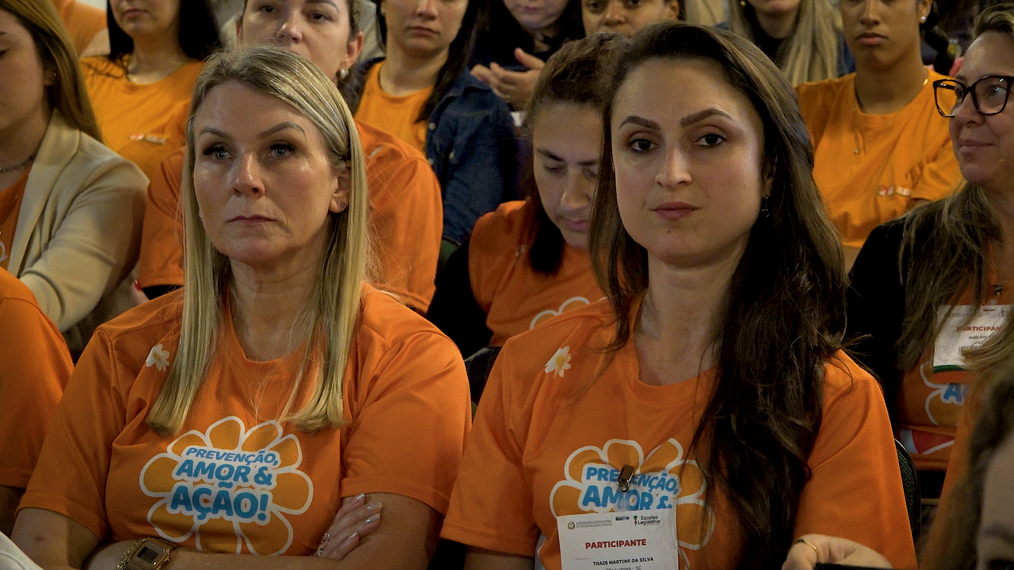 Seminário de Práticas Inclusivas em Educação Especial no Transtorno do Espectro Autista - Orleans