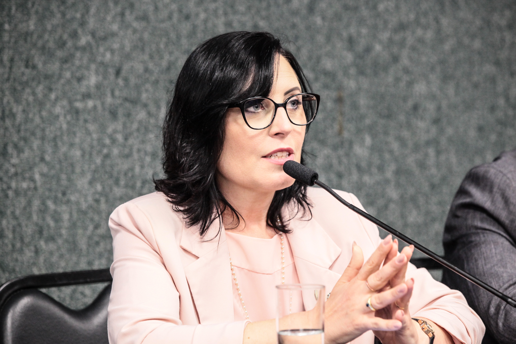 Lançamento da Frente Parlamentar em Defesa da Vida