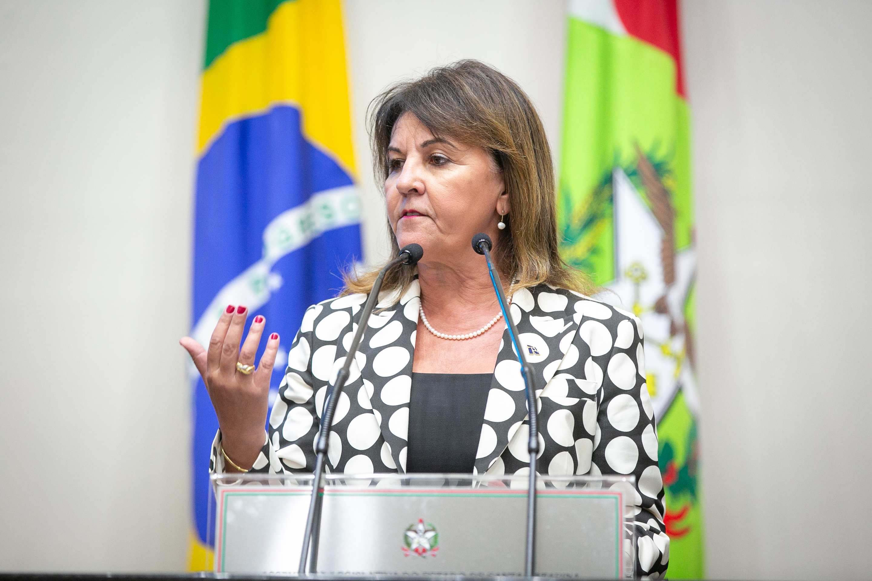 Suspensão da Sessão - Apresentação da Receita Federal