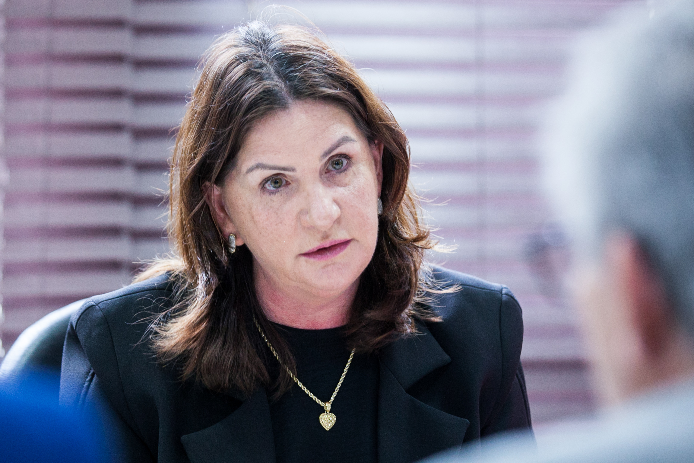 Reunião da Bancada do Oeste com secretária de Estado da Saúde Carmen Zanotto