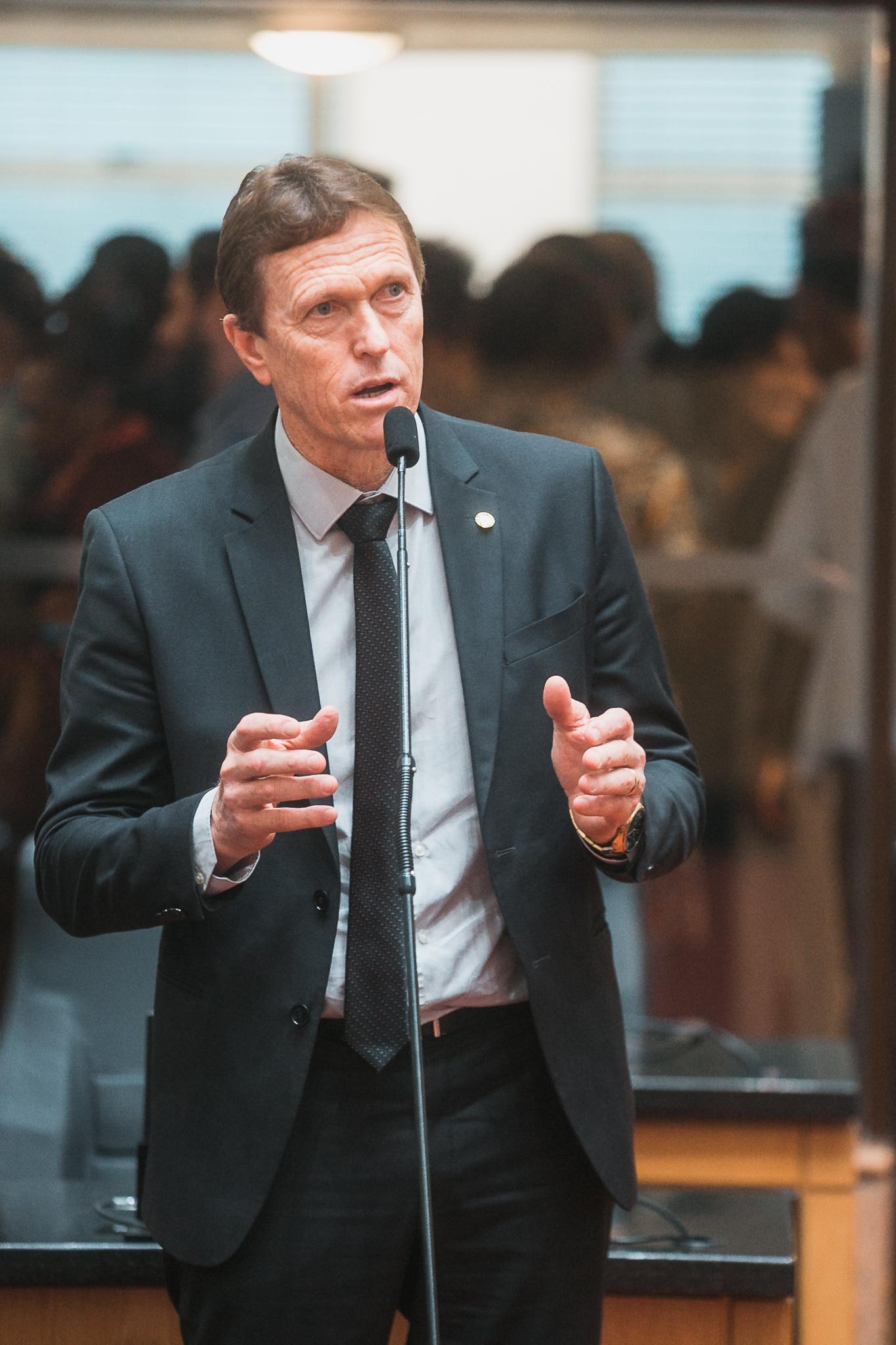 SESSÃO ORDINÁRIA - Deputado Volnei Weber (MDB)