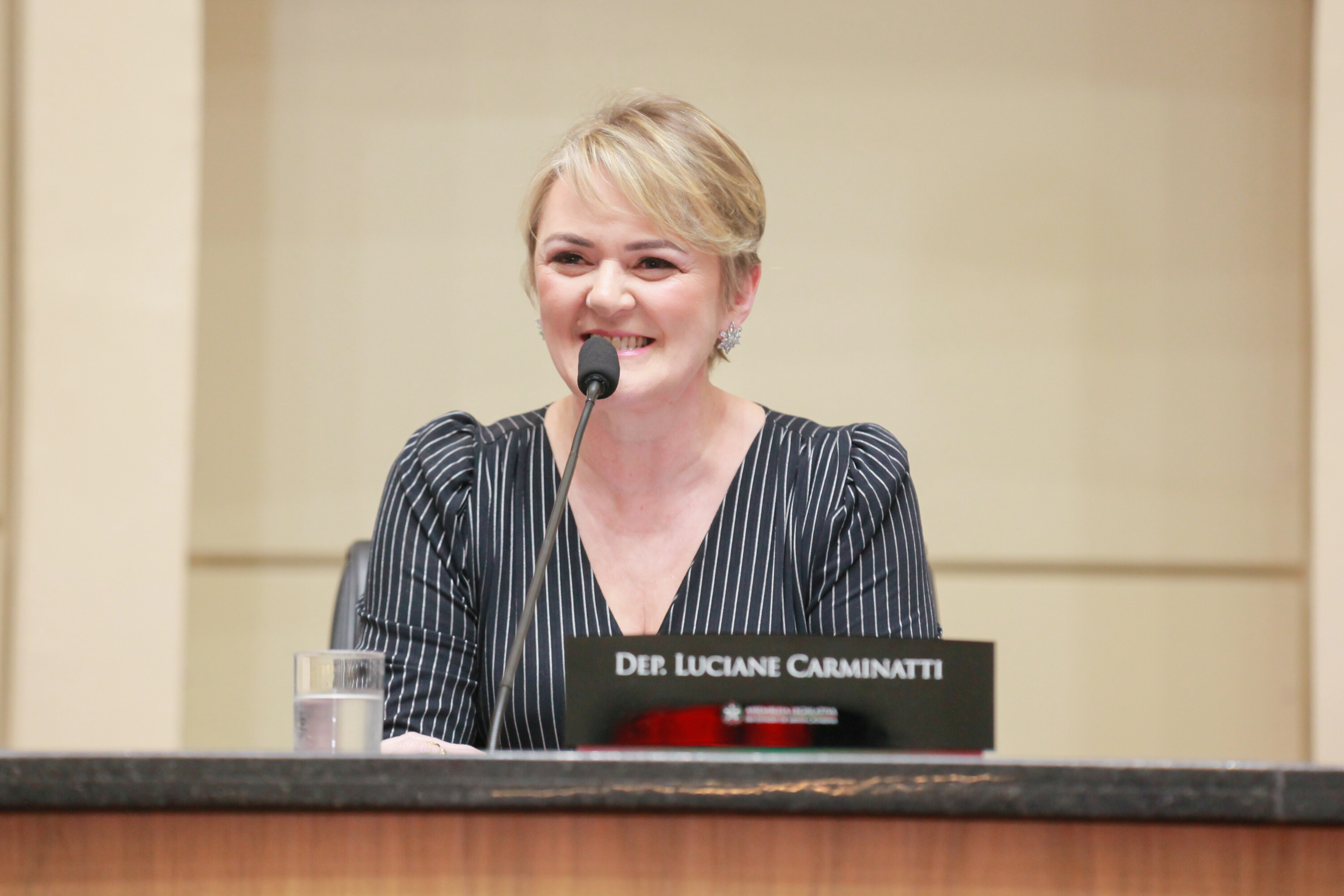 Deputada Luciane Carminatti (PT)