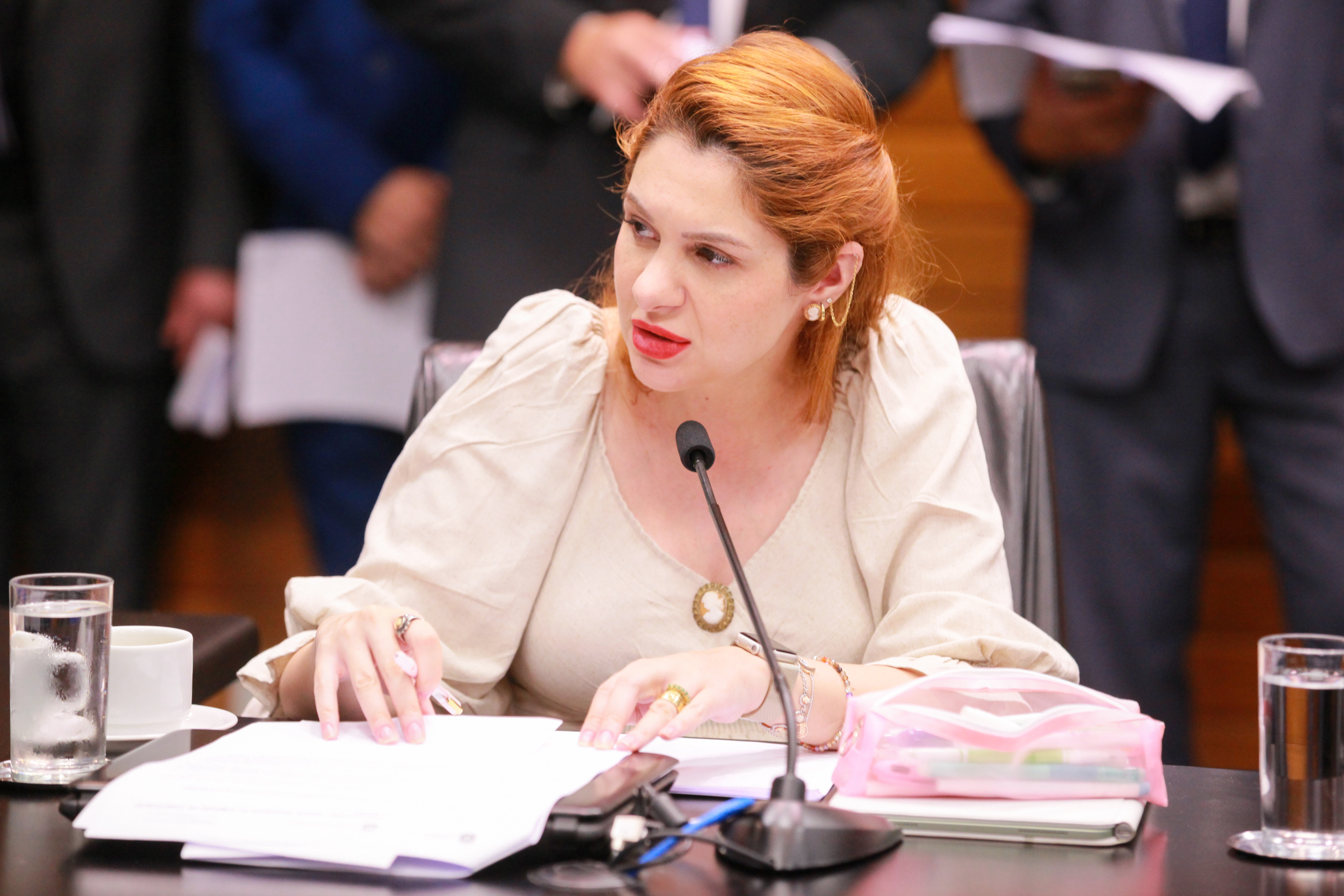 Comissão de Constituição e Justiça - Deputada Ana Campagnolo (PL)