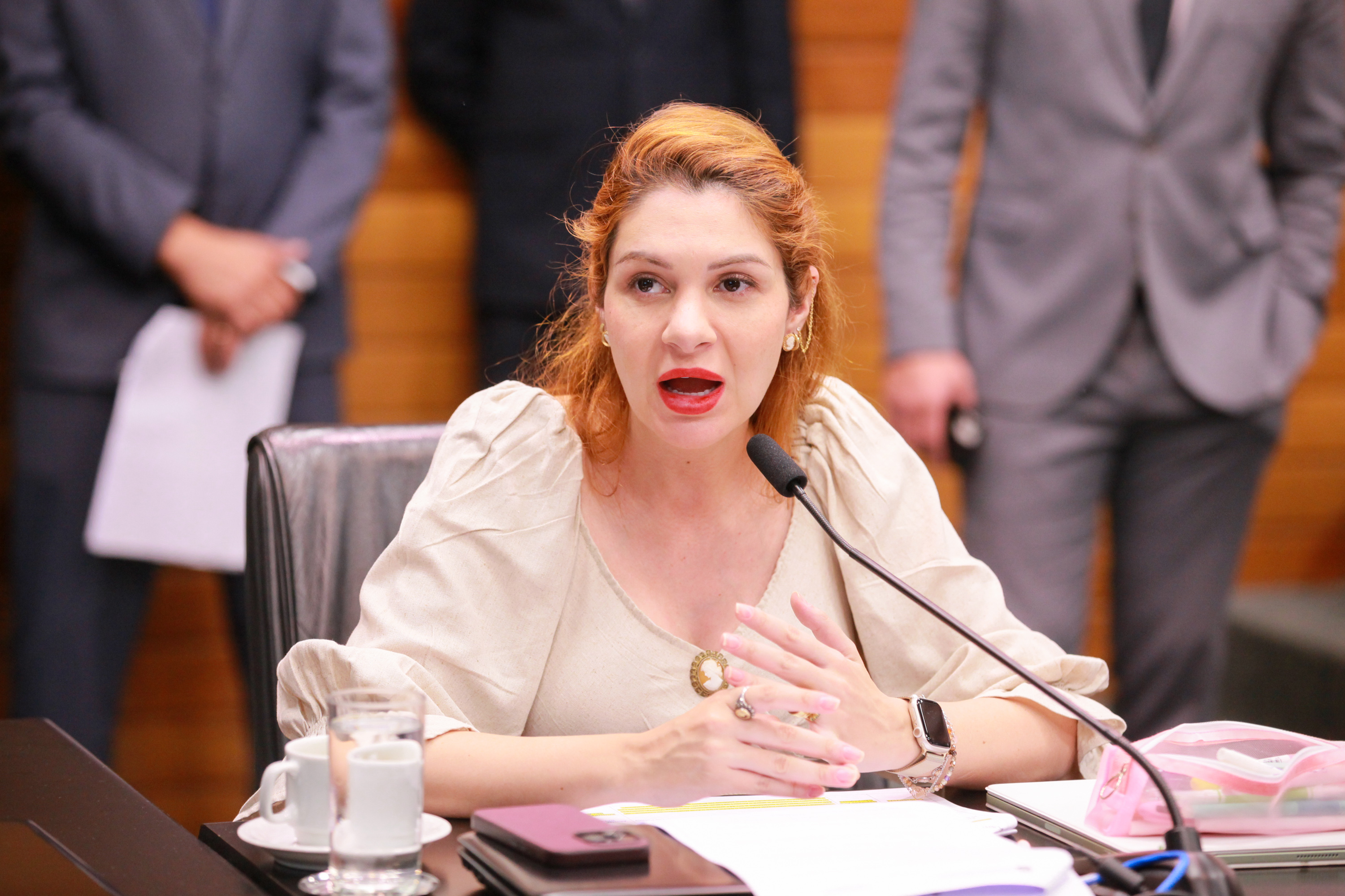 Comissão de Constituição e Justiça