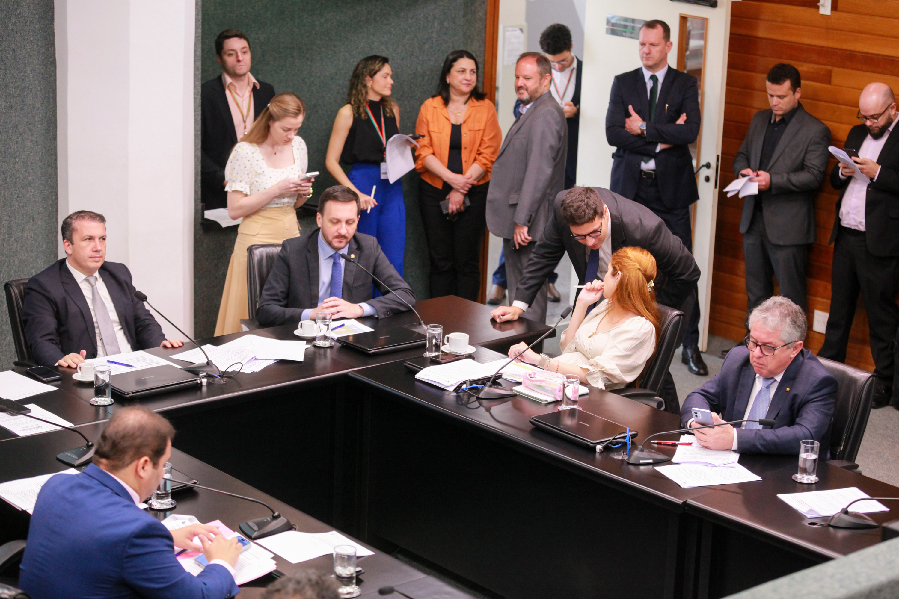 Comissão de Constituição e Justiça