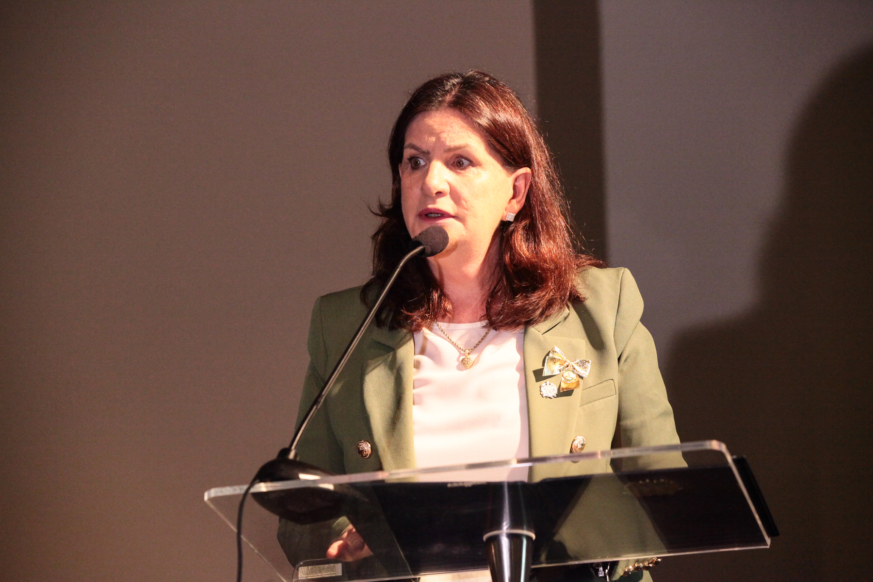 VI Congresso catarinense de Aleitamento Materno - Secretária de Estado da Saúde de SC