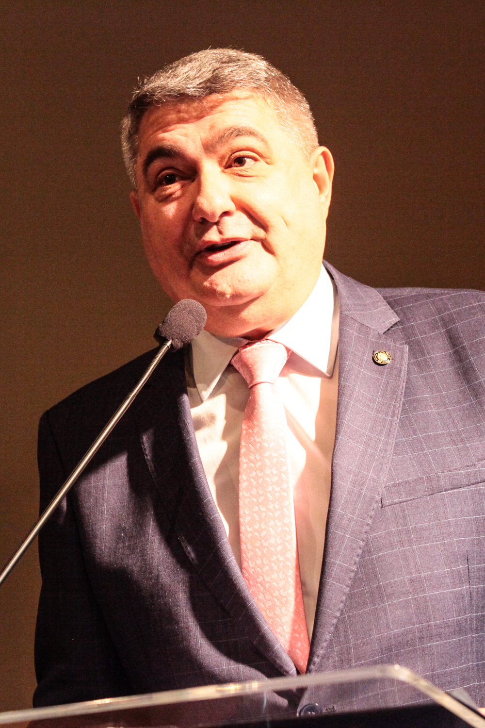 VI Congresso catarinense de Aleitamento Materno - Deputado Antídio Lunelli (MDB)