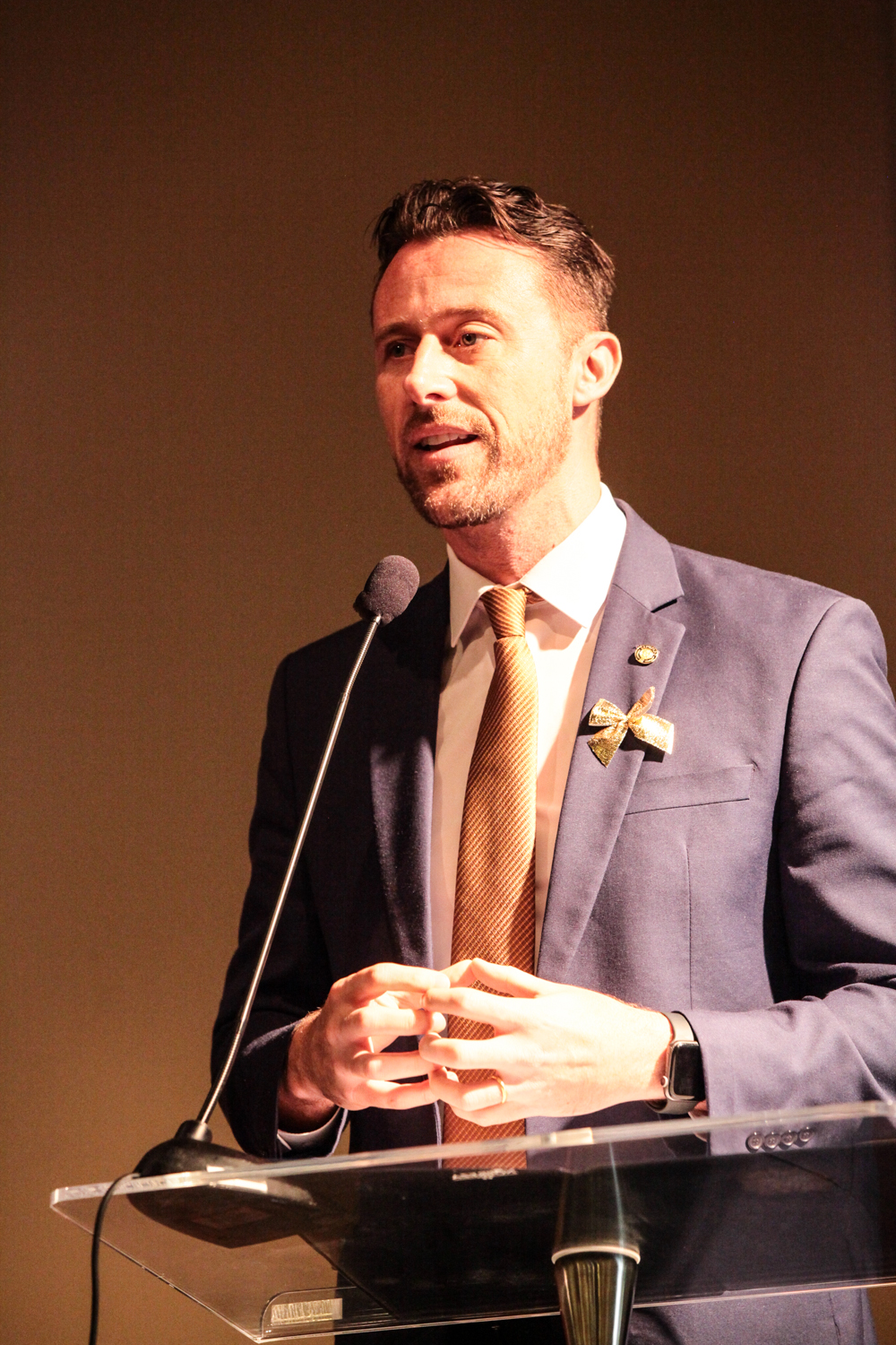 VI Congresso catarinense de Aleitamento Materno - Deputado Fernando Krelling (MDB)