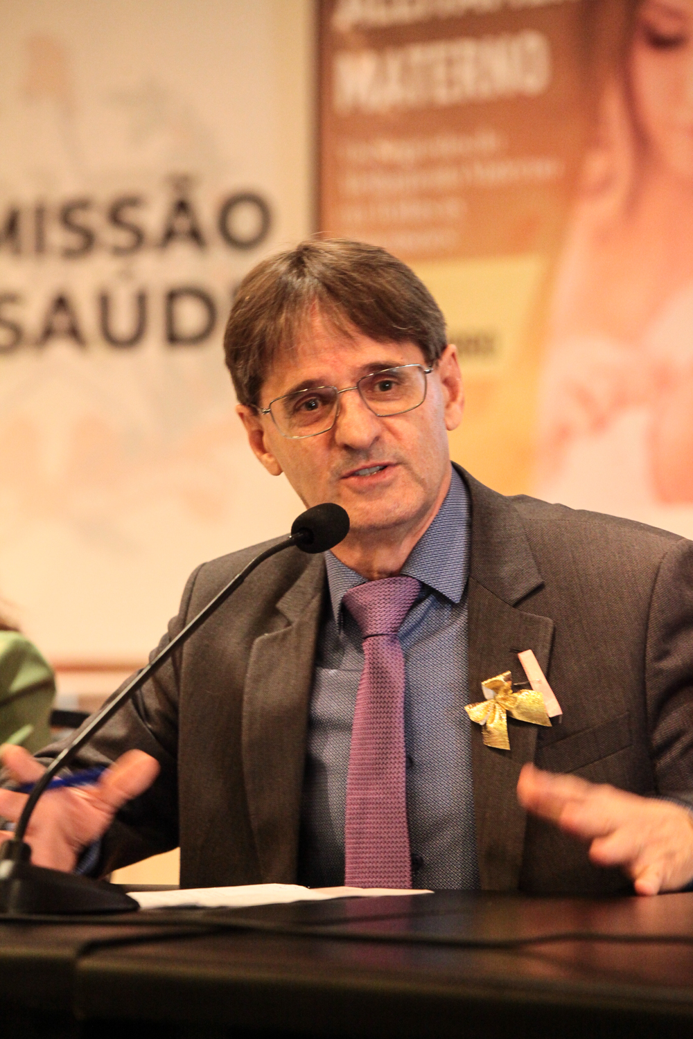 VI Congresso catarinense de Aleitamento Materno - Deputado Neodi Saretta (PT