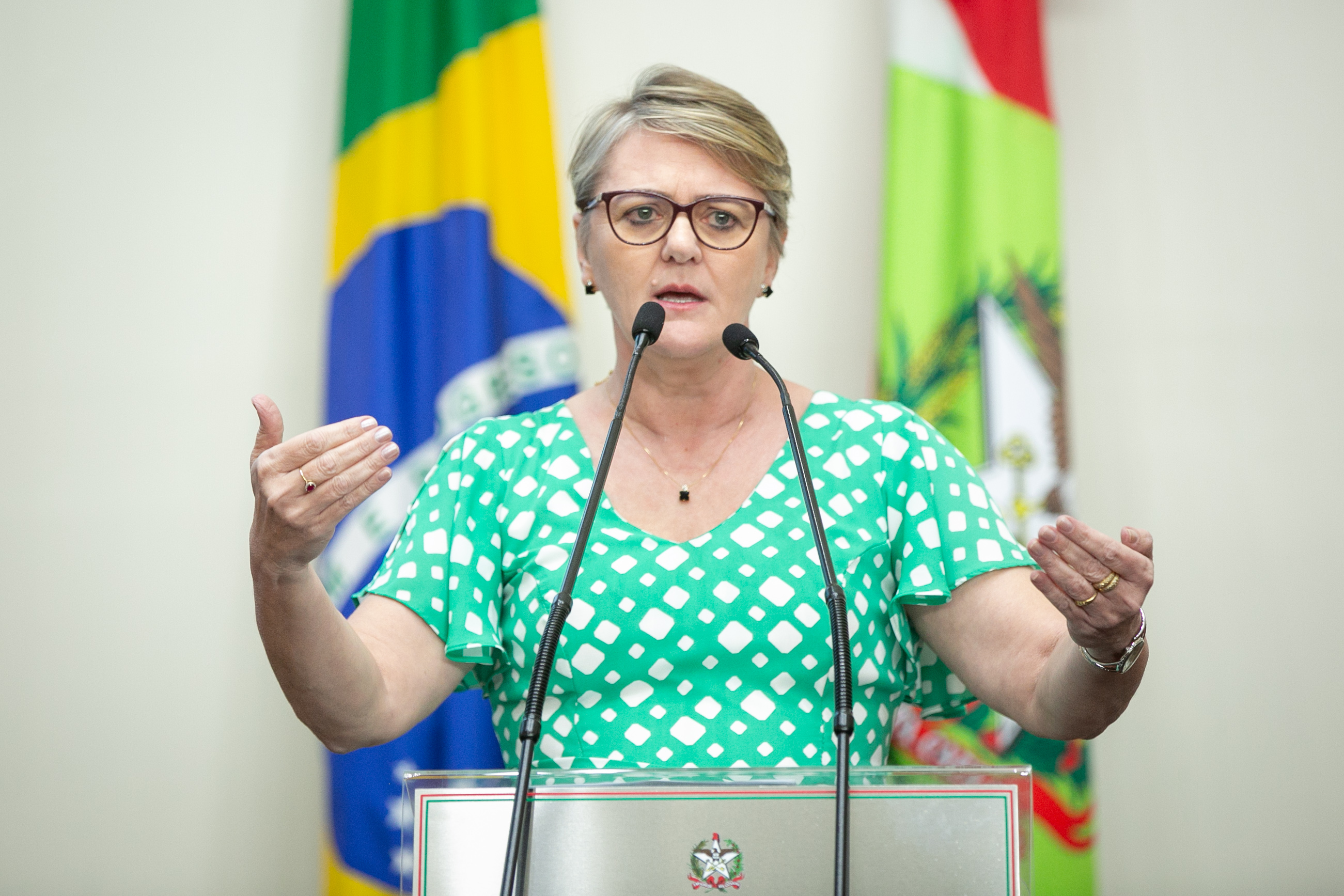 SESSÃO ORDINÁRIA - Parte 1 - Deputada Luciane Carminatti (PT)