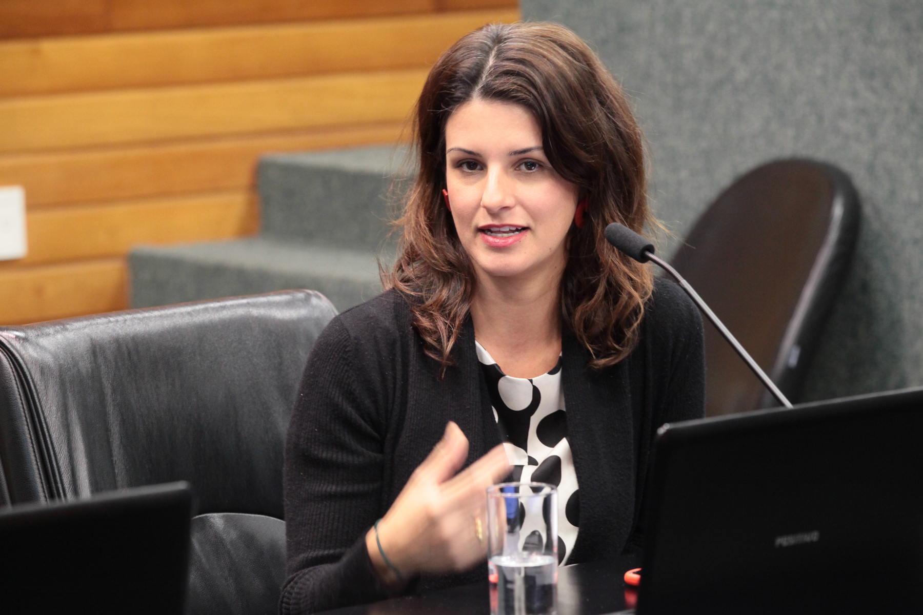 Comissão de Saúde - Dra. Mariana Schorn