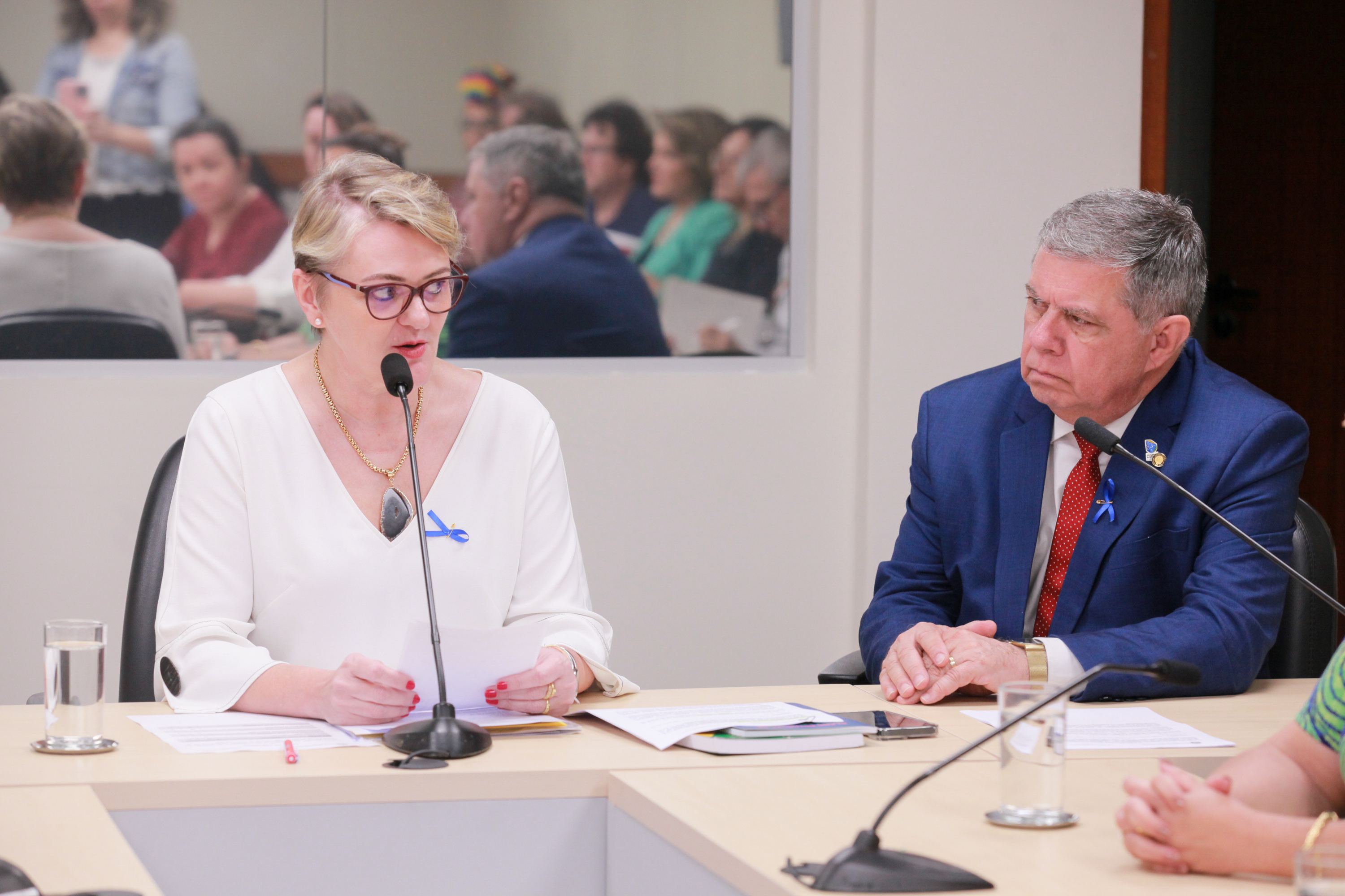 - Deputada Luciane Carminatti (PT) 		
 - Deputado Mário Motta (PSD)