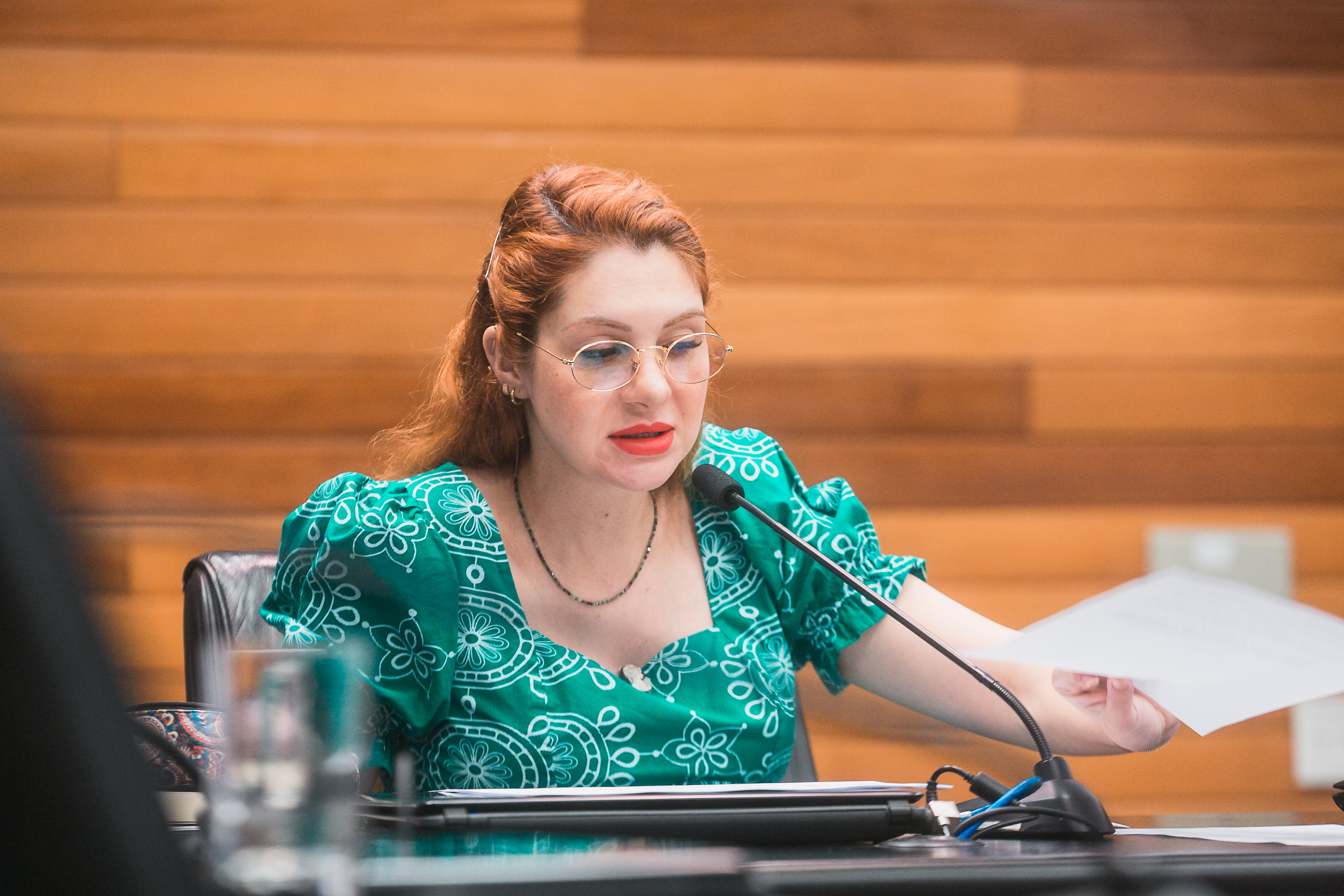 - Deputada Ana Caroline Campagnolo (PL)