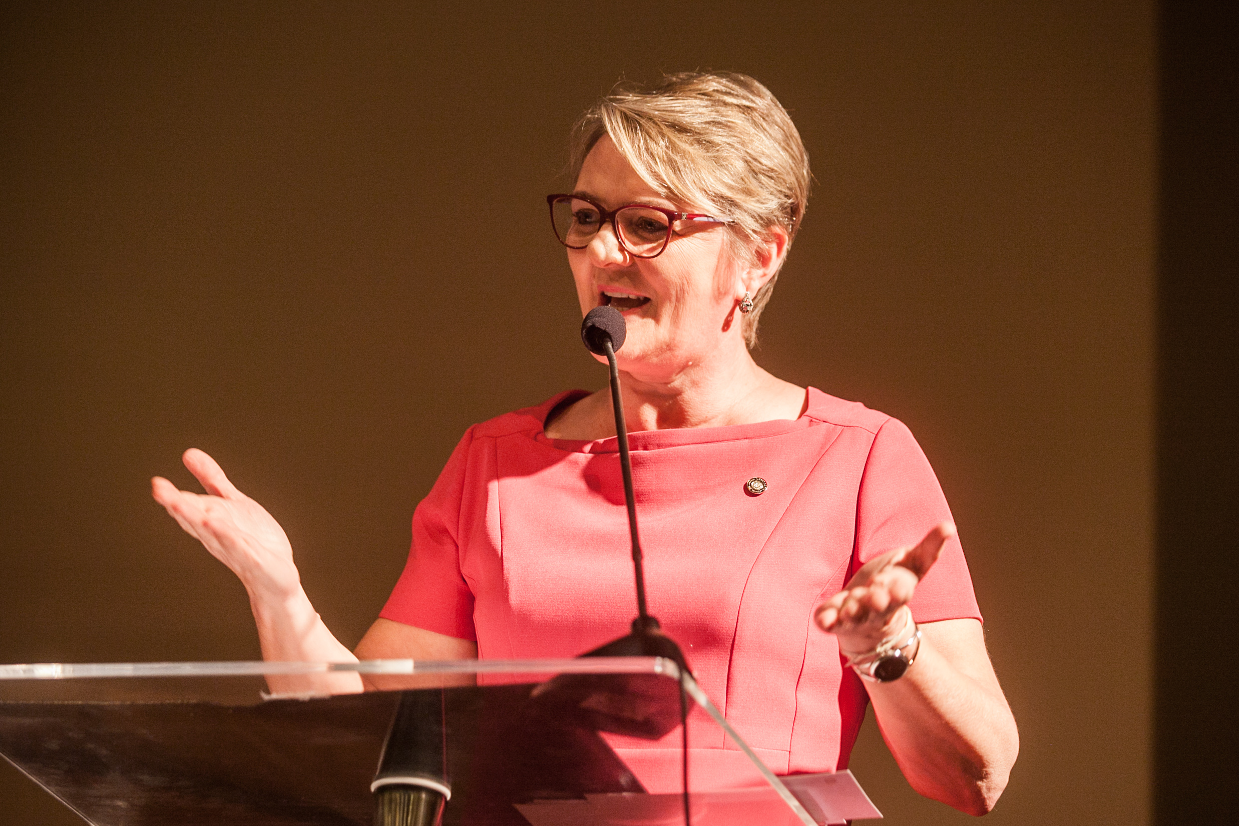 - Deputada Luciane Carminatti (PT)