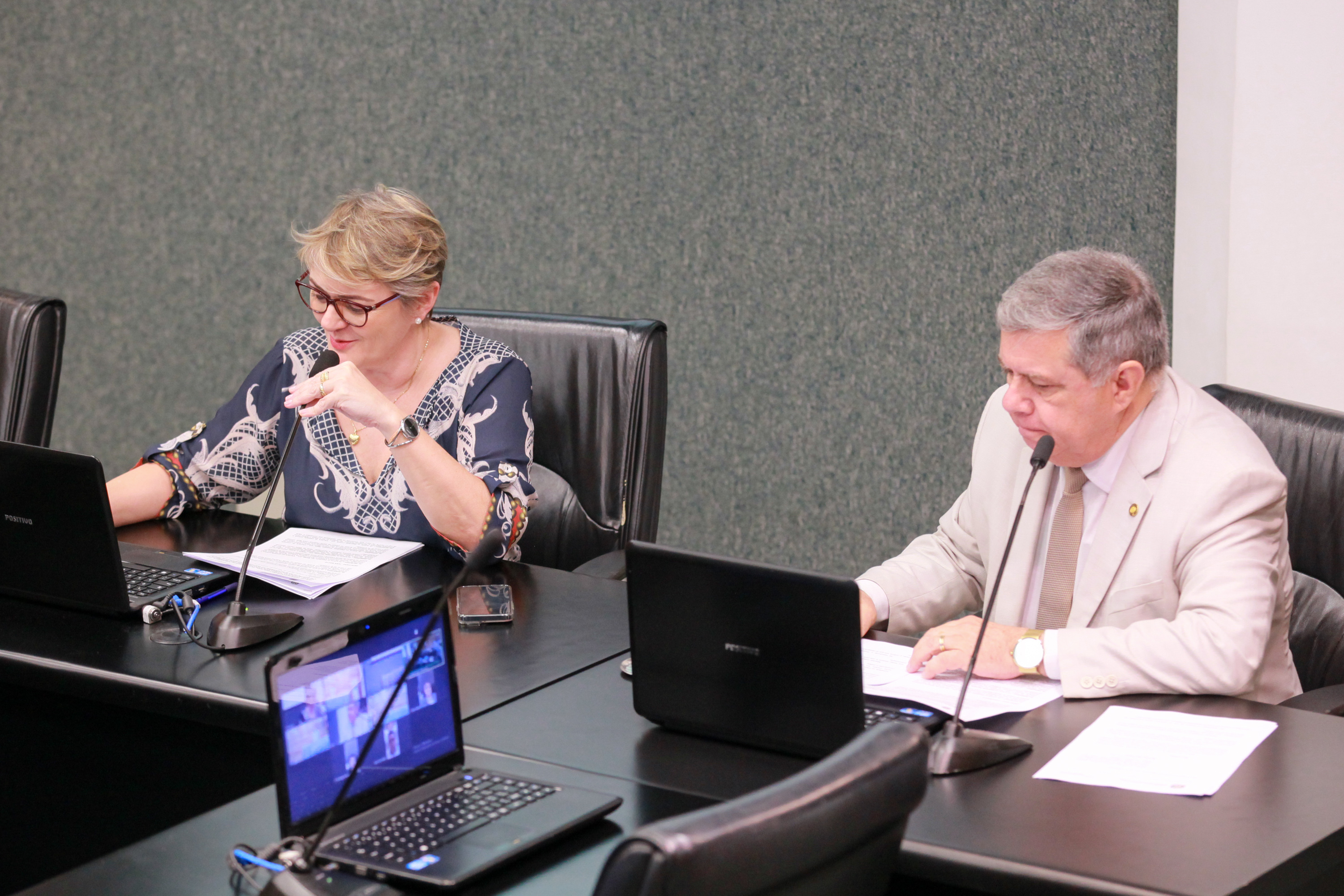 - Deputada Luciane Carminatti (PT) 		
 - Deputado Mário Motta (PSD)