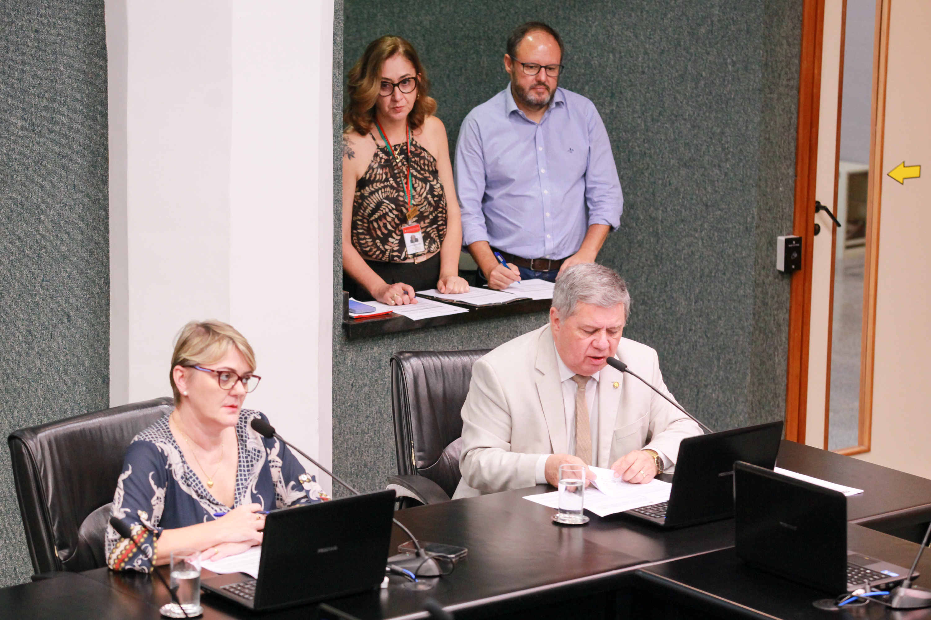 - Deputada Luciane Carminatti (PT) 		
 - Deputado Mário Motta (PSD)