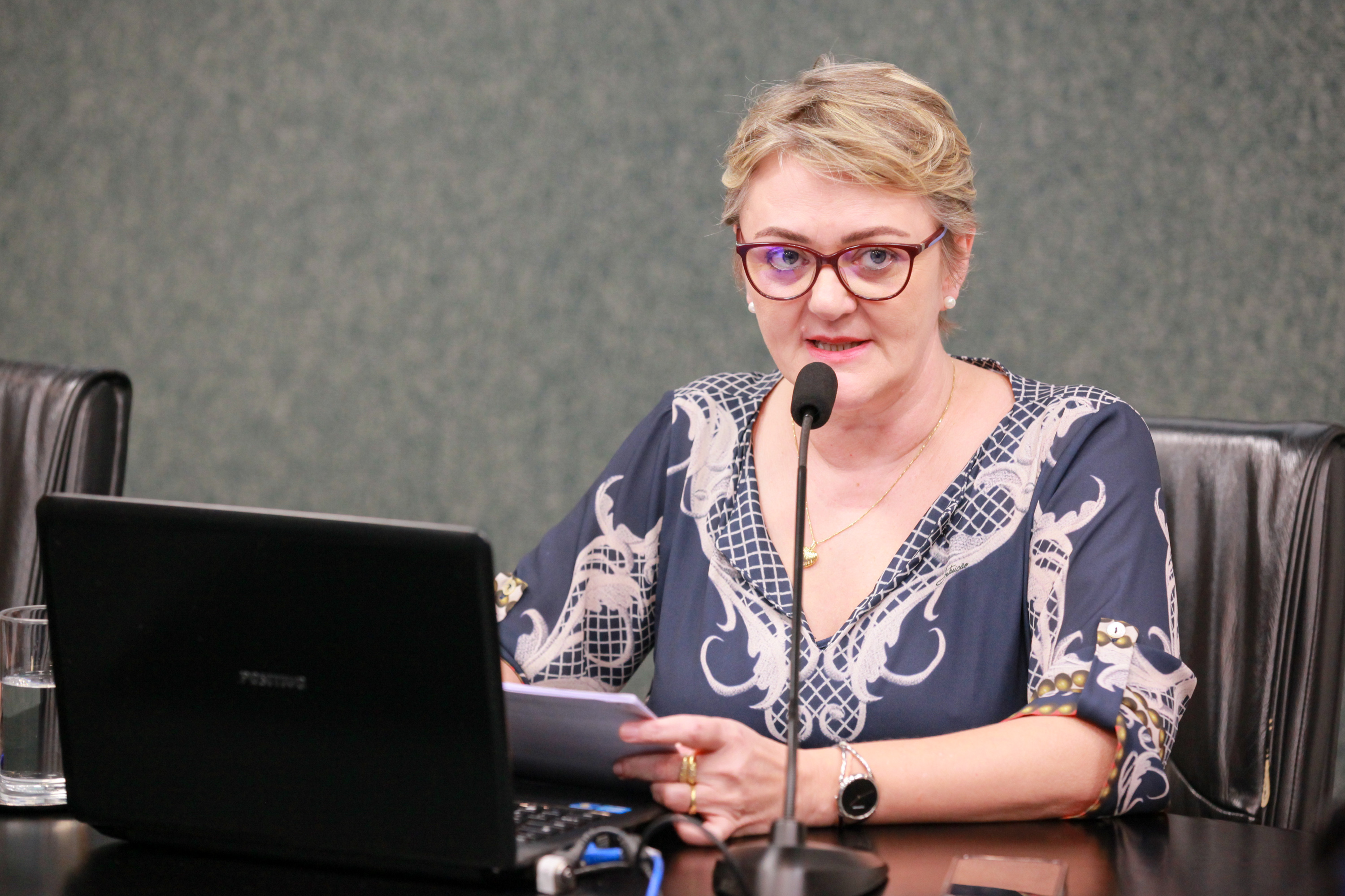 - Deputada Luciane Carminatti (PT)
