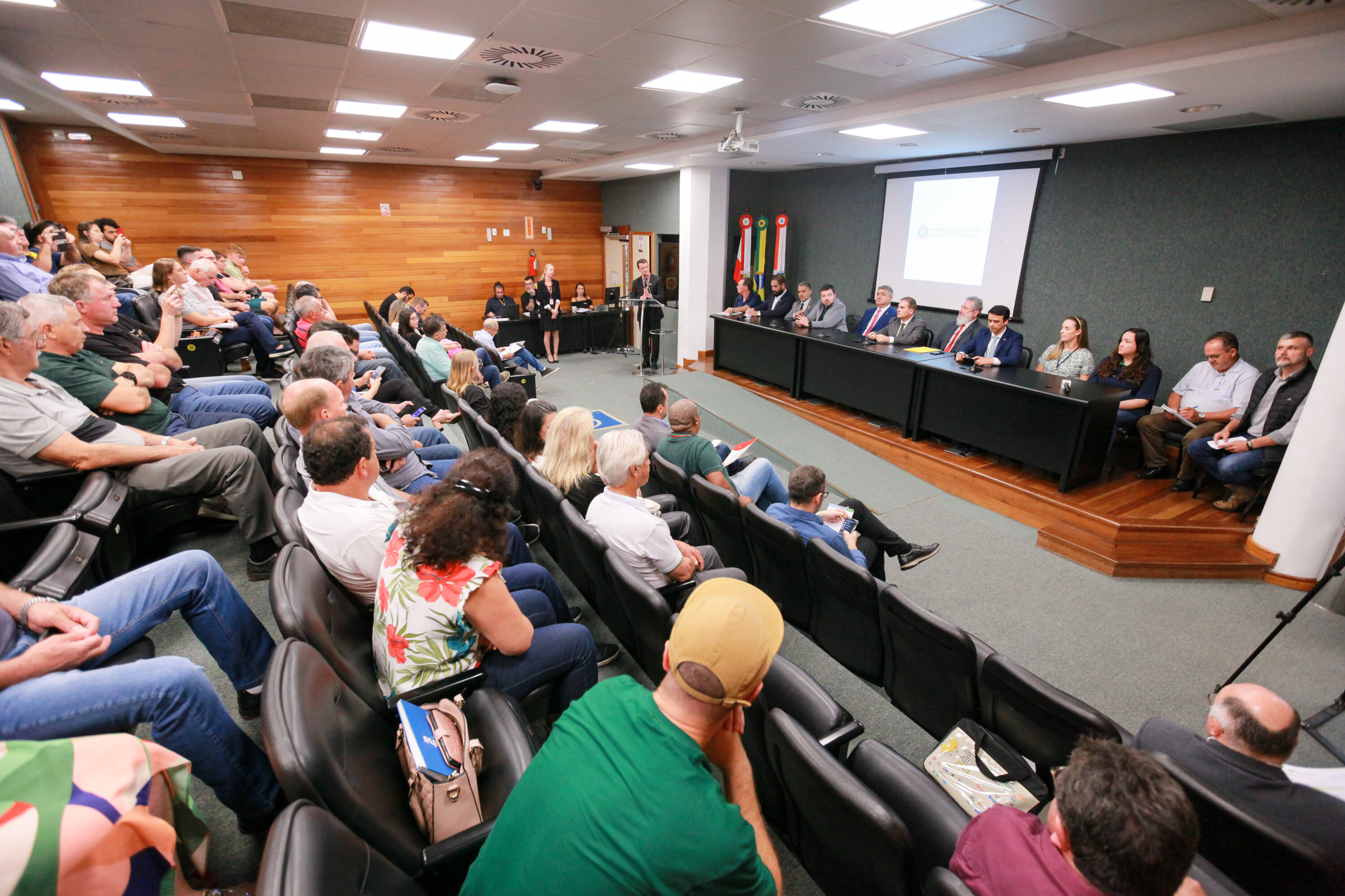 Audiência aponta encaminhamentos para combater a falsificação de mel