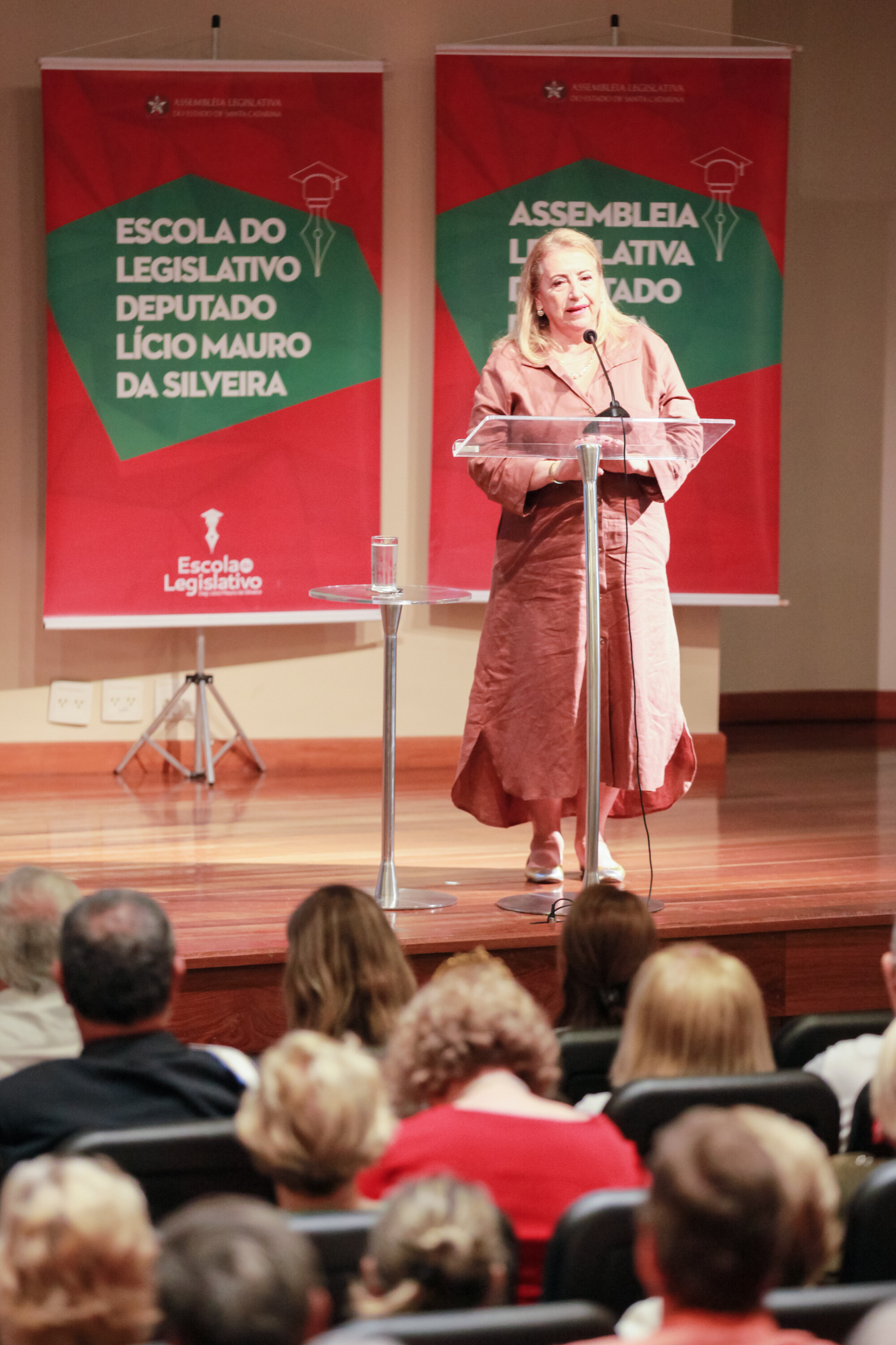 Delegada Ester Coelho, da 6ª DP da capital.