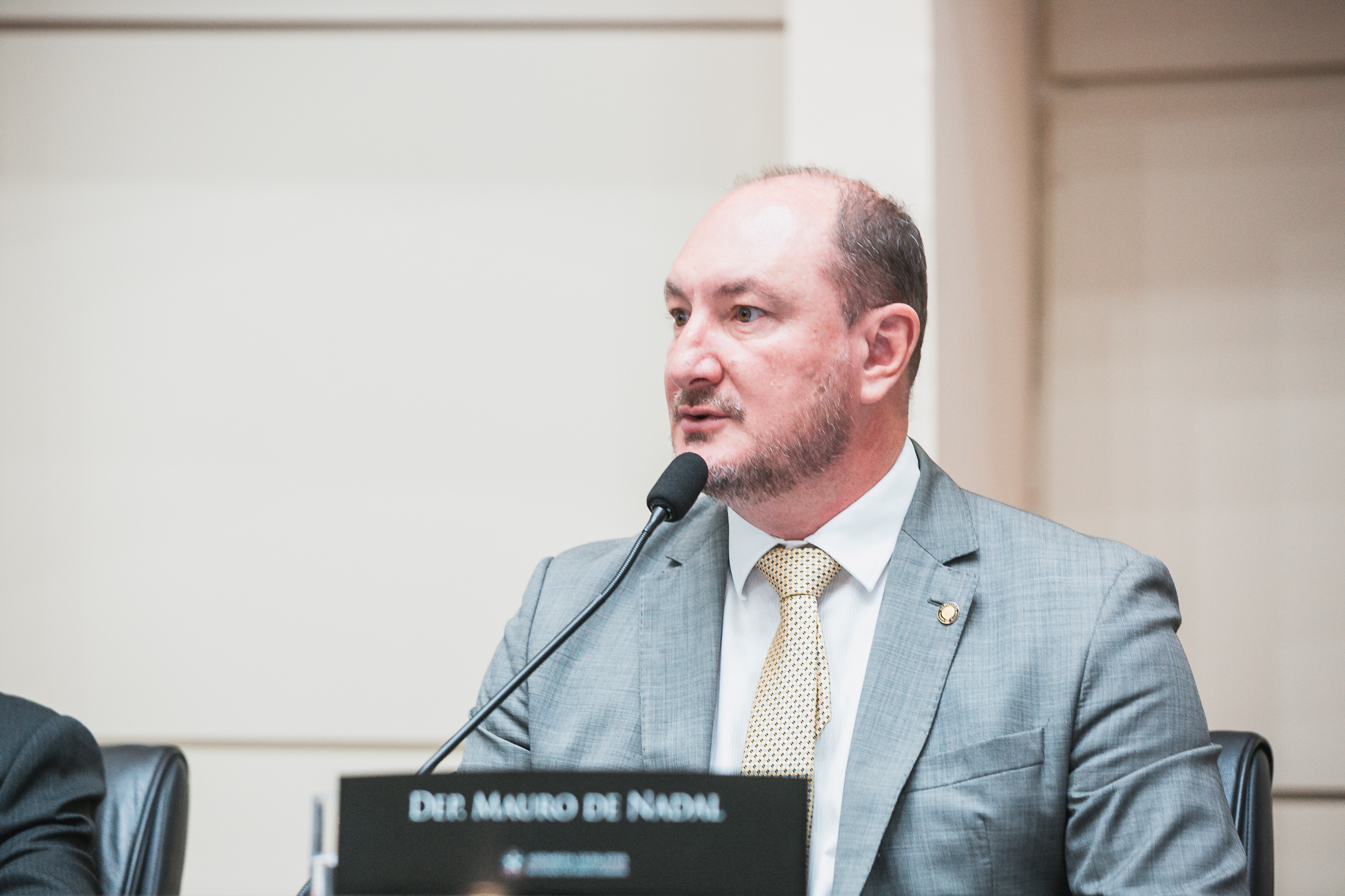 - Deputado Mauro de Nadal (MDB)