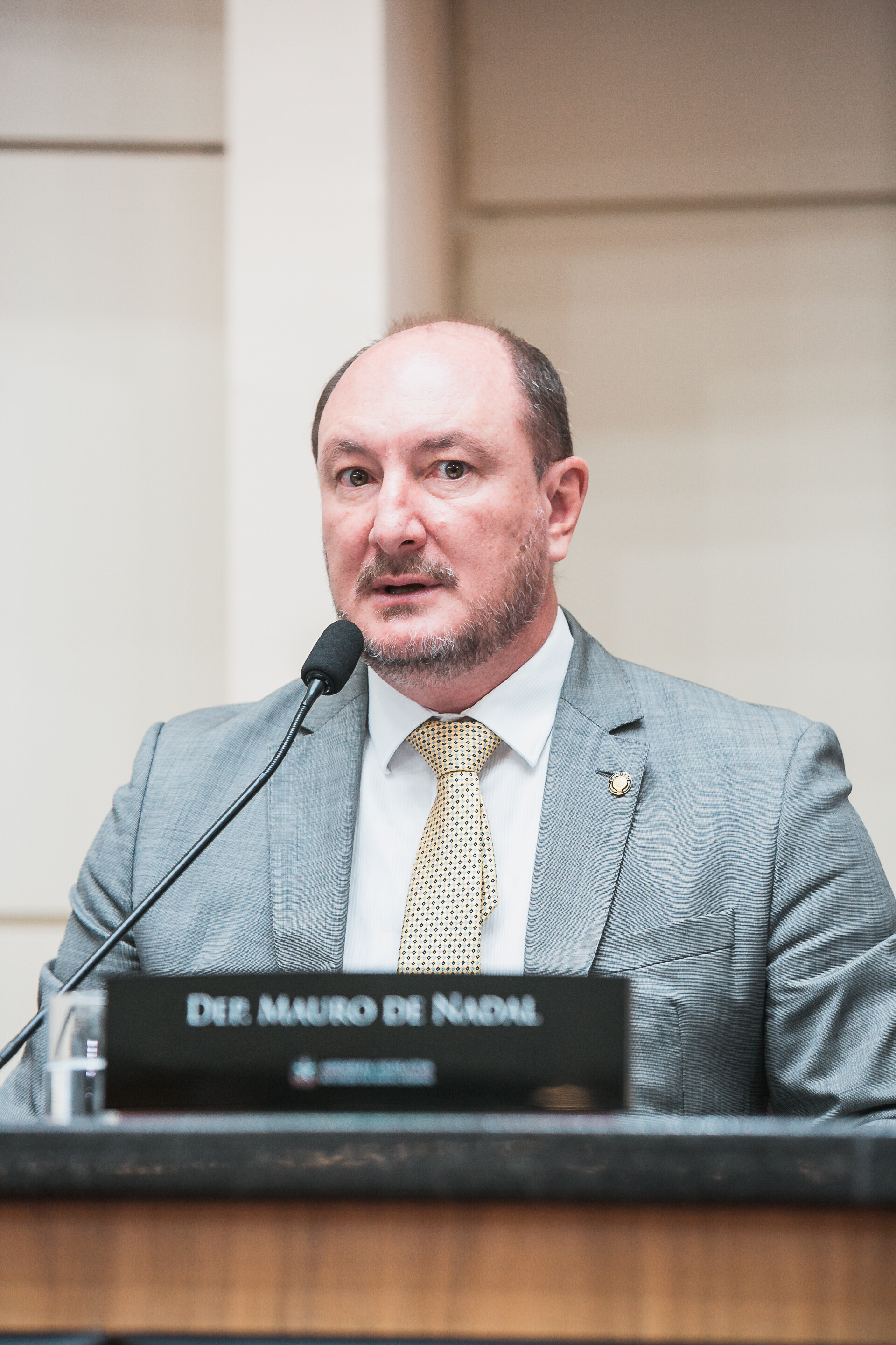 Cerimônia foi conduzida pelo presidente da Alesc, e coordenador do Comitê, deputado Mauro de Nadal (MDB).