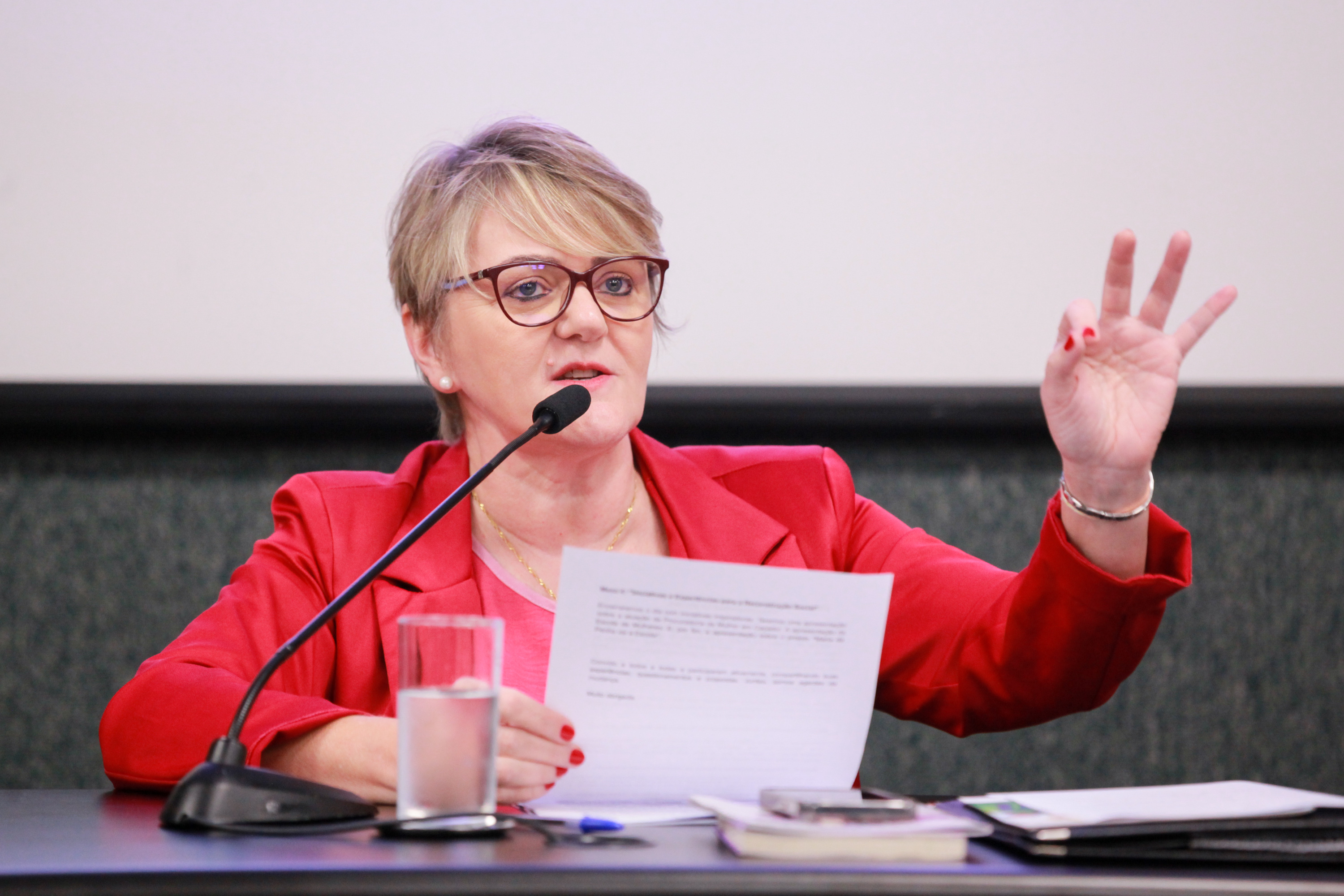 - Deputada Luciane Carminatti (PT)