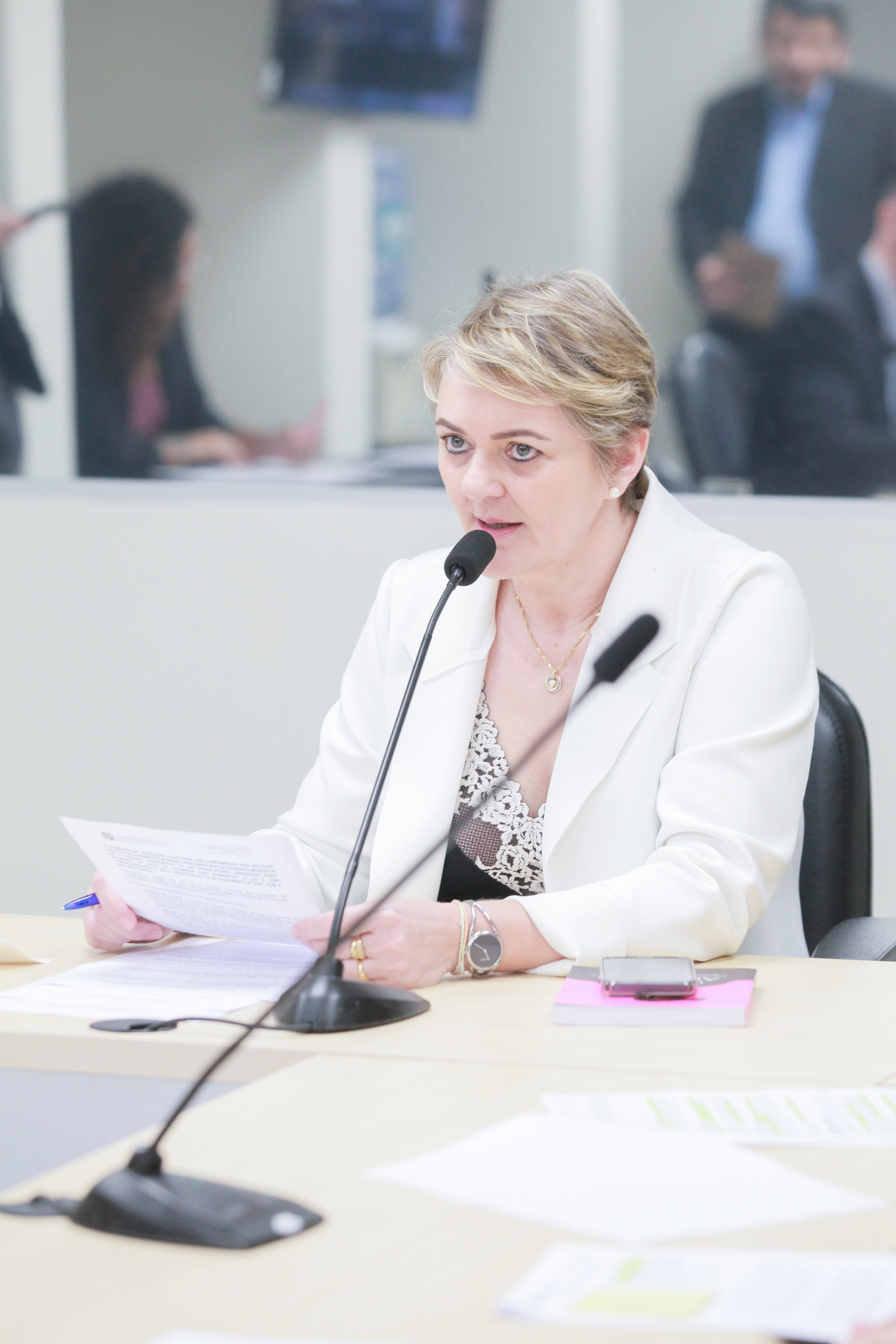 - Deputada Luciane Carminatti (PT)