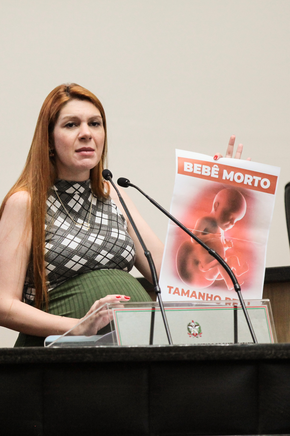 Deputada Ana Caroline Campagnolo (PL)