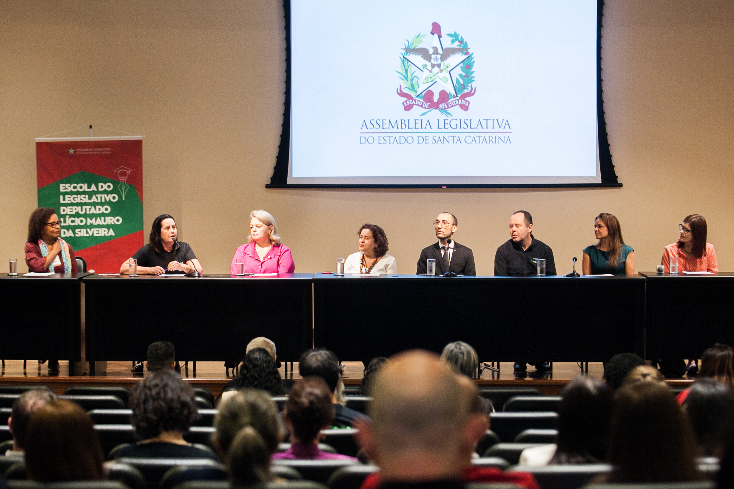 Alesc debate Avaliação Biopsicossocial e o Novo Plano Nacional Viver Sem Limite