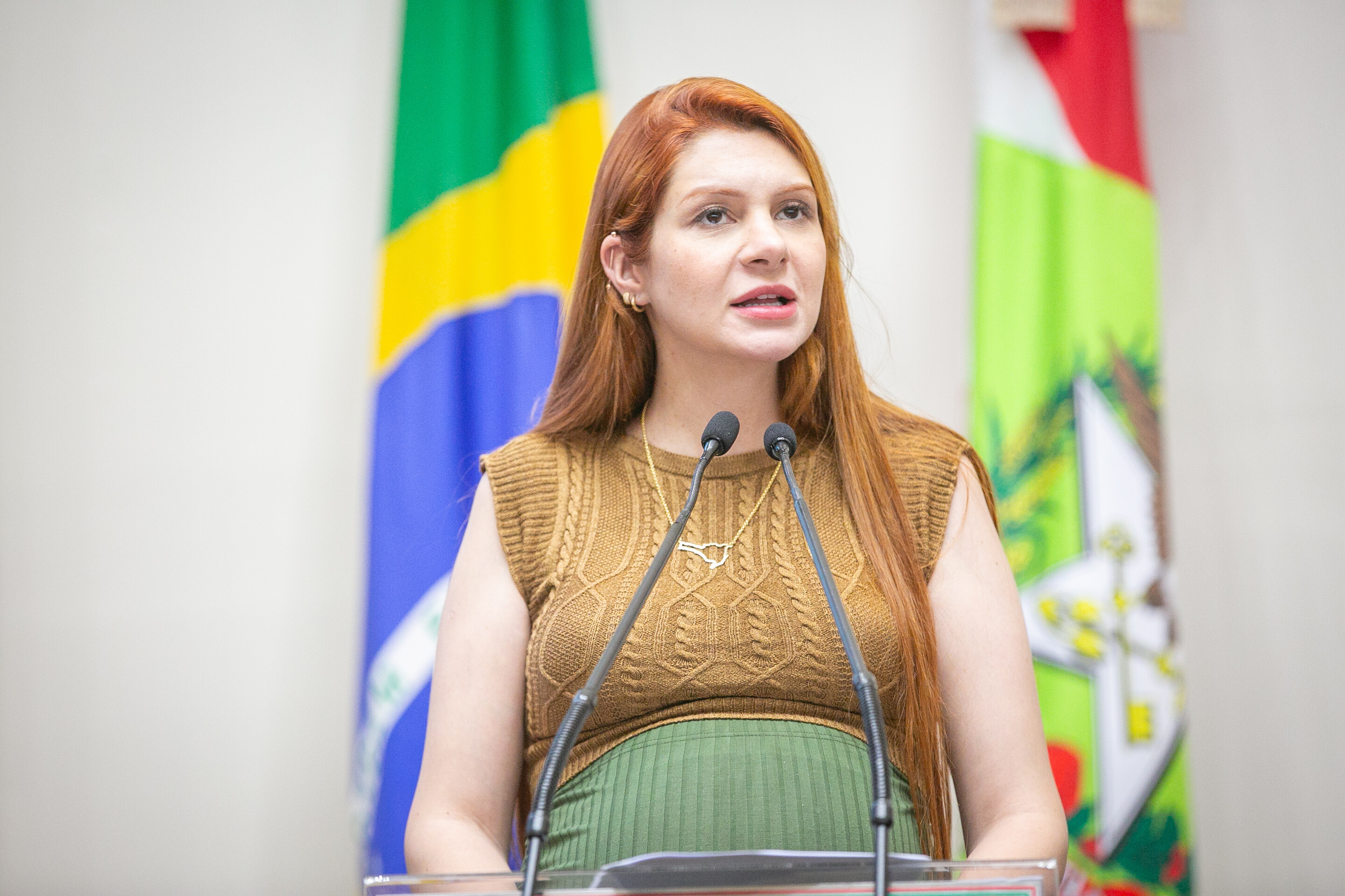 Ana Campagnolo denuncia obscenidades durante festa em escola de São José