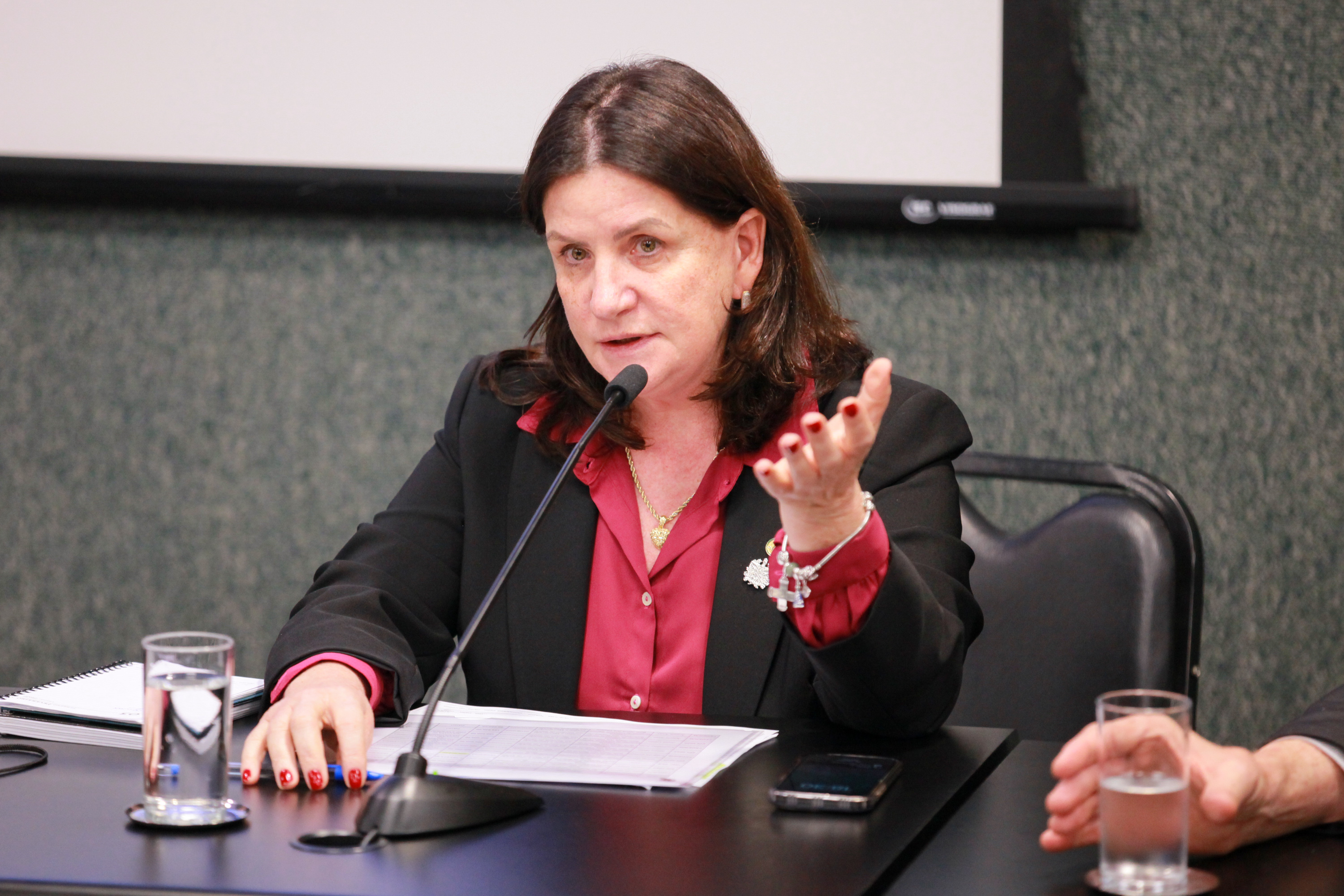 Carmen Zanotto- Secretária de Estado da Saúde SC