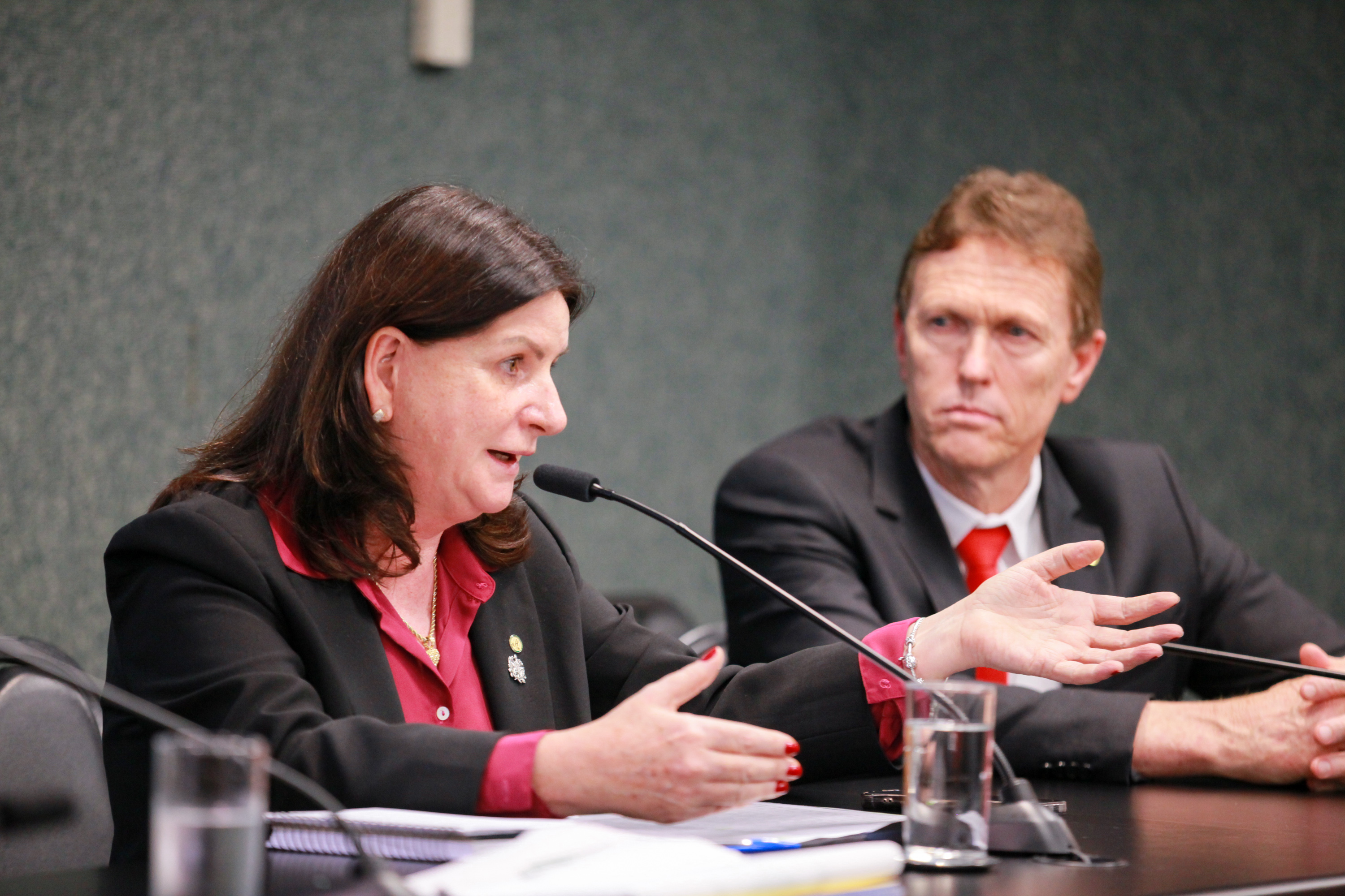 Carmen Zanotto- Secretária de Estado da Saúde SC  - Deputado Volnei Weber (MDB)