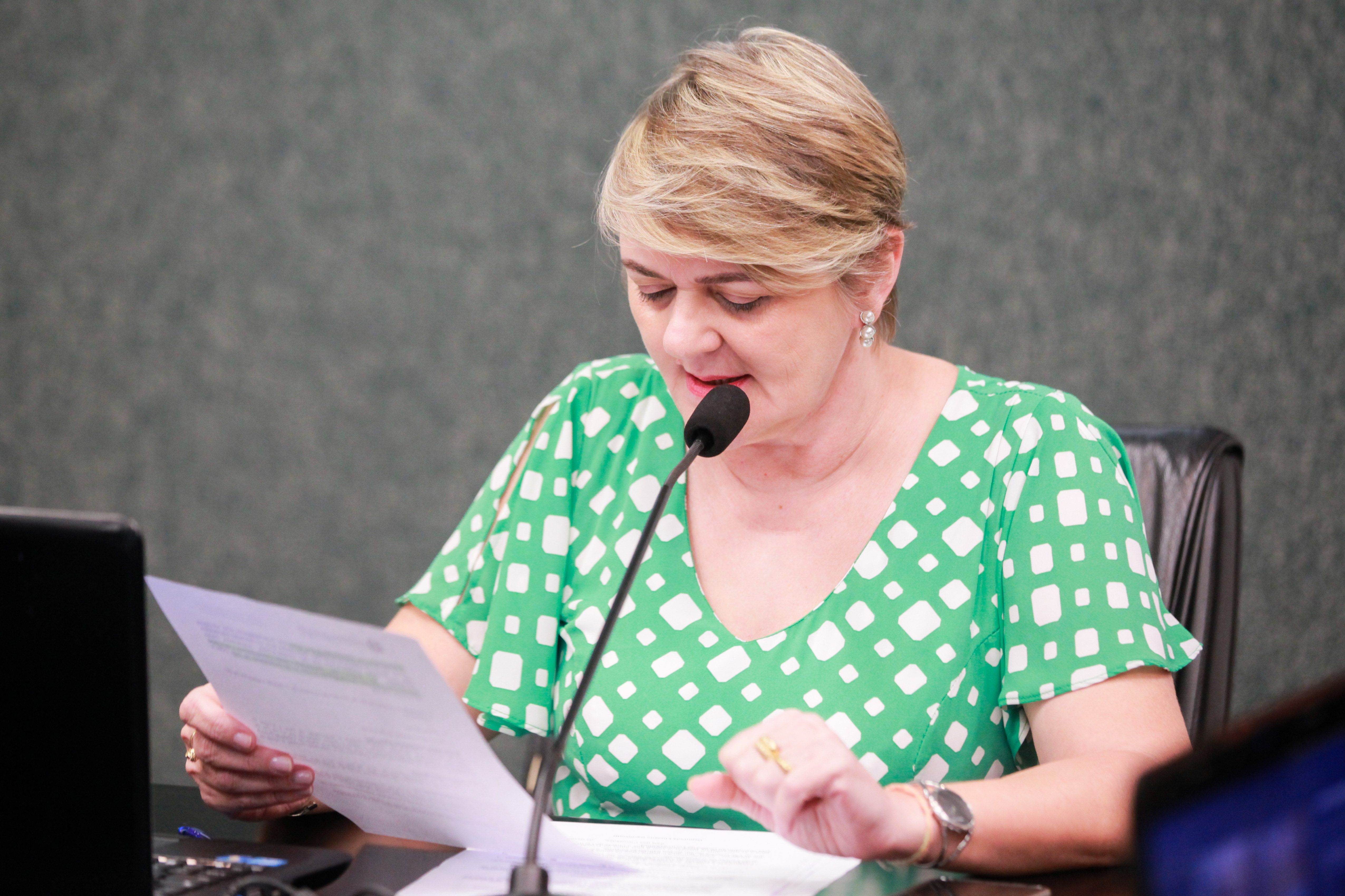 - Deputada Luciane Carminatti (PT)