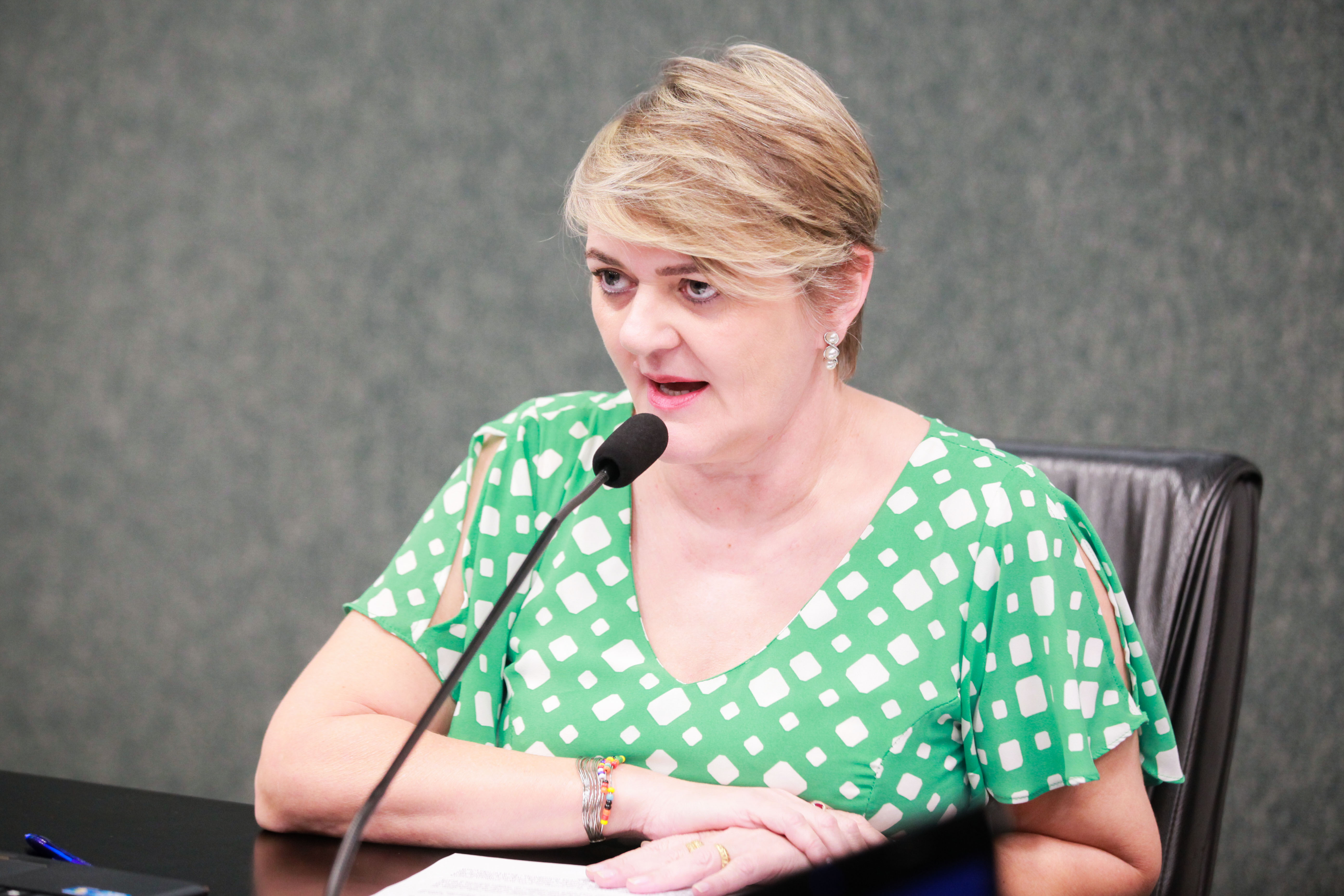- Deputada Luciane Carminatti (PT)