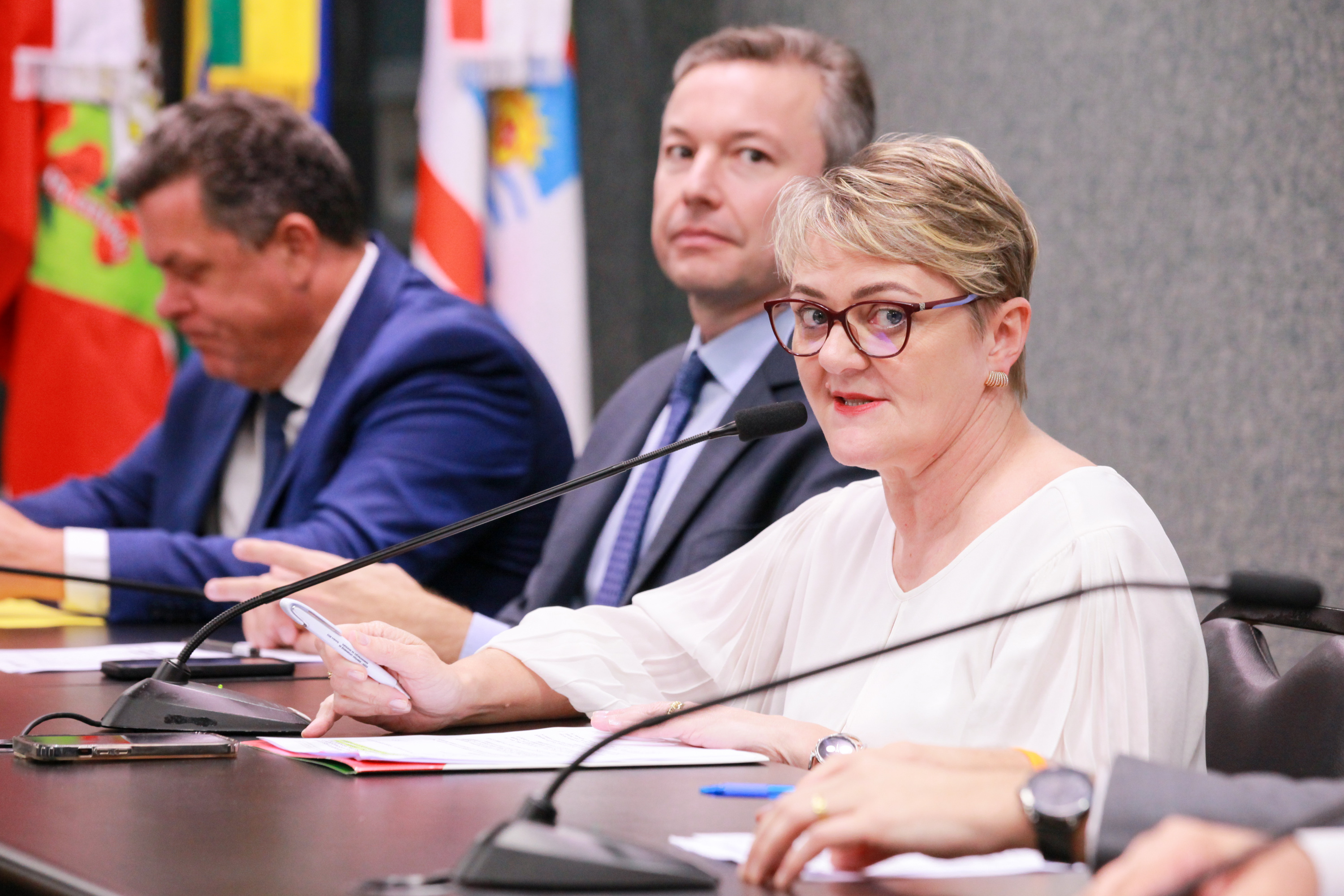 - Deputada Luciane Carminatti (PT)